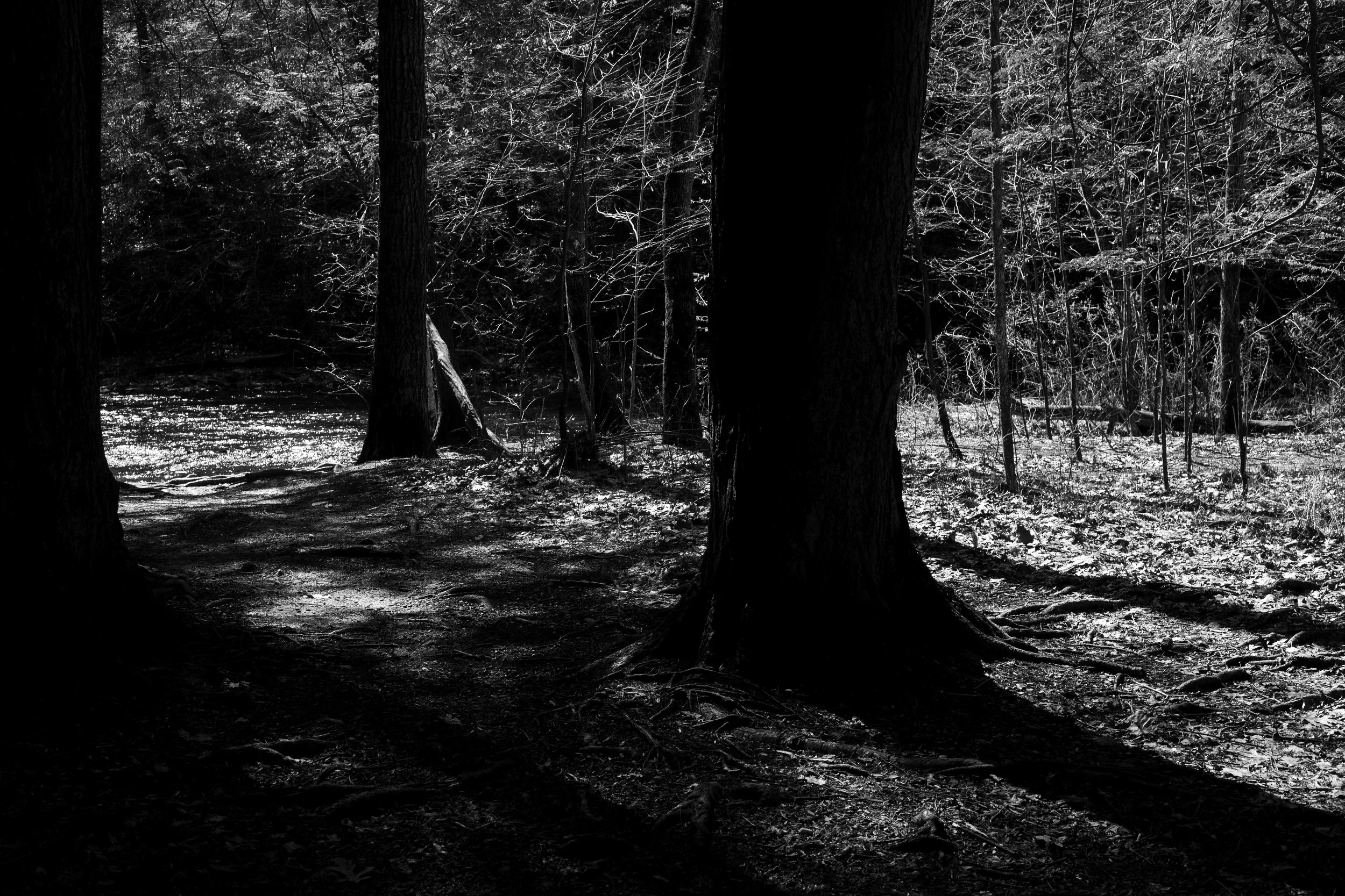 Cullen_IrbyOnly a Memory_Indv.jpg