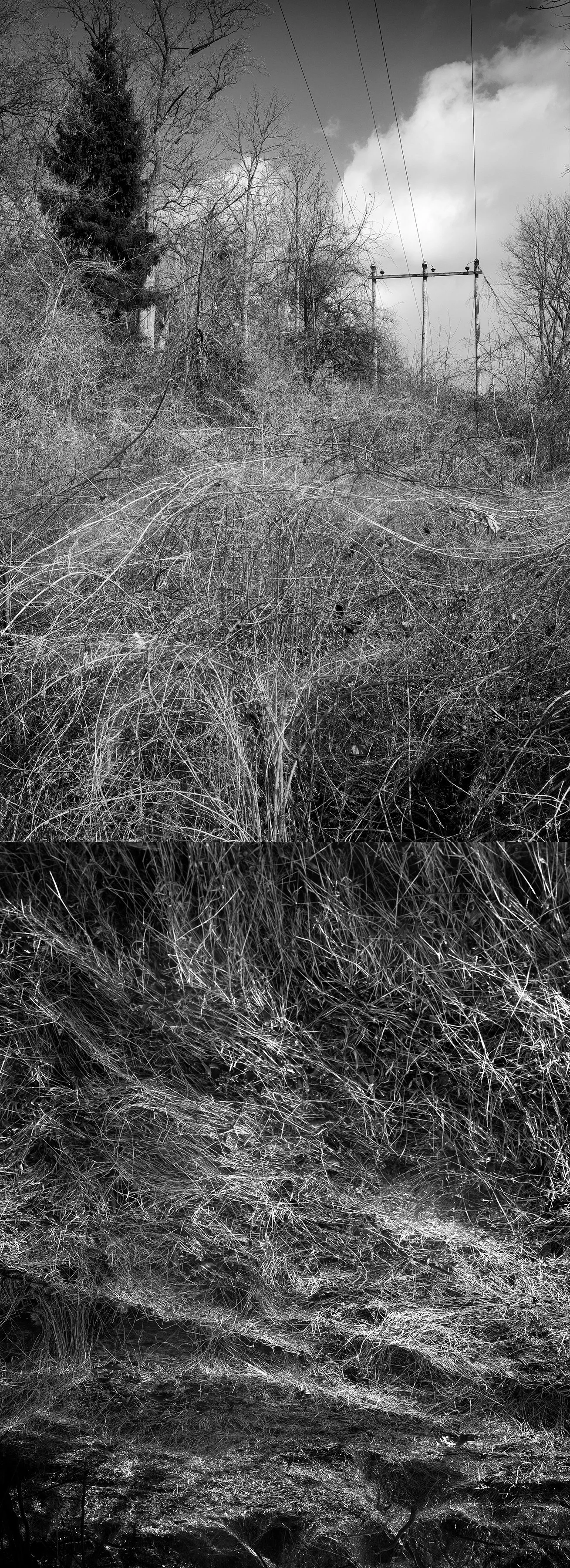 Cullen_IrbyOnly a Memory_9.jpg