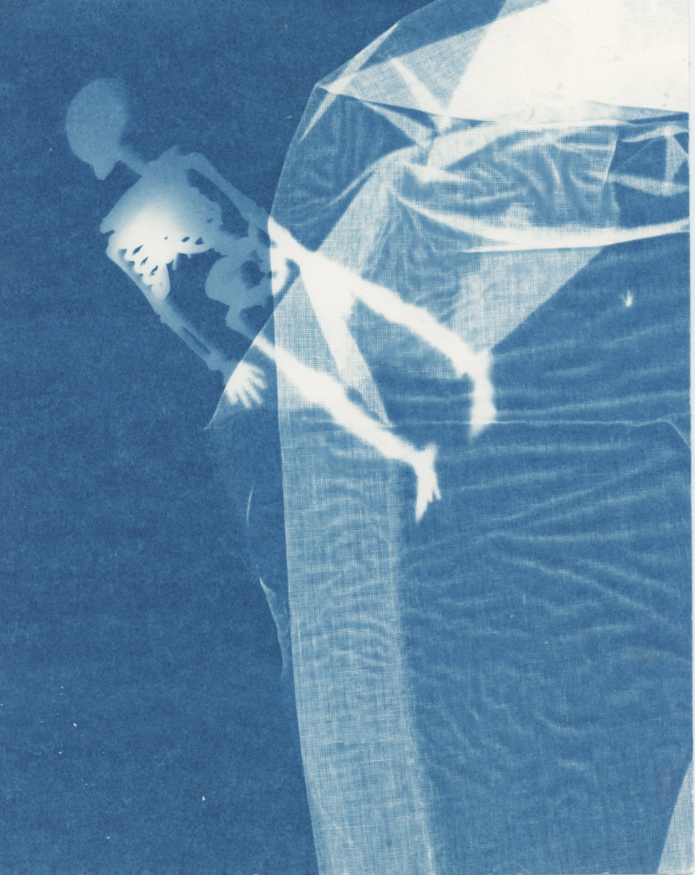 Irby_Cyanotype2.jpg