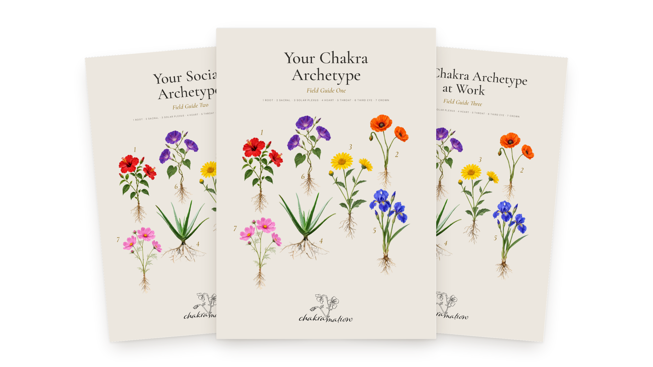 Three sheet music covers titled 'Your Chakra Archetype' with illustrated plants representing different chakras, each featuring colorful flowers and roots.