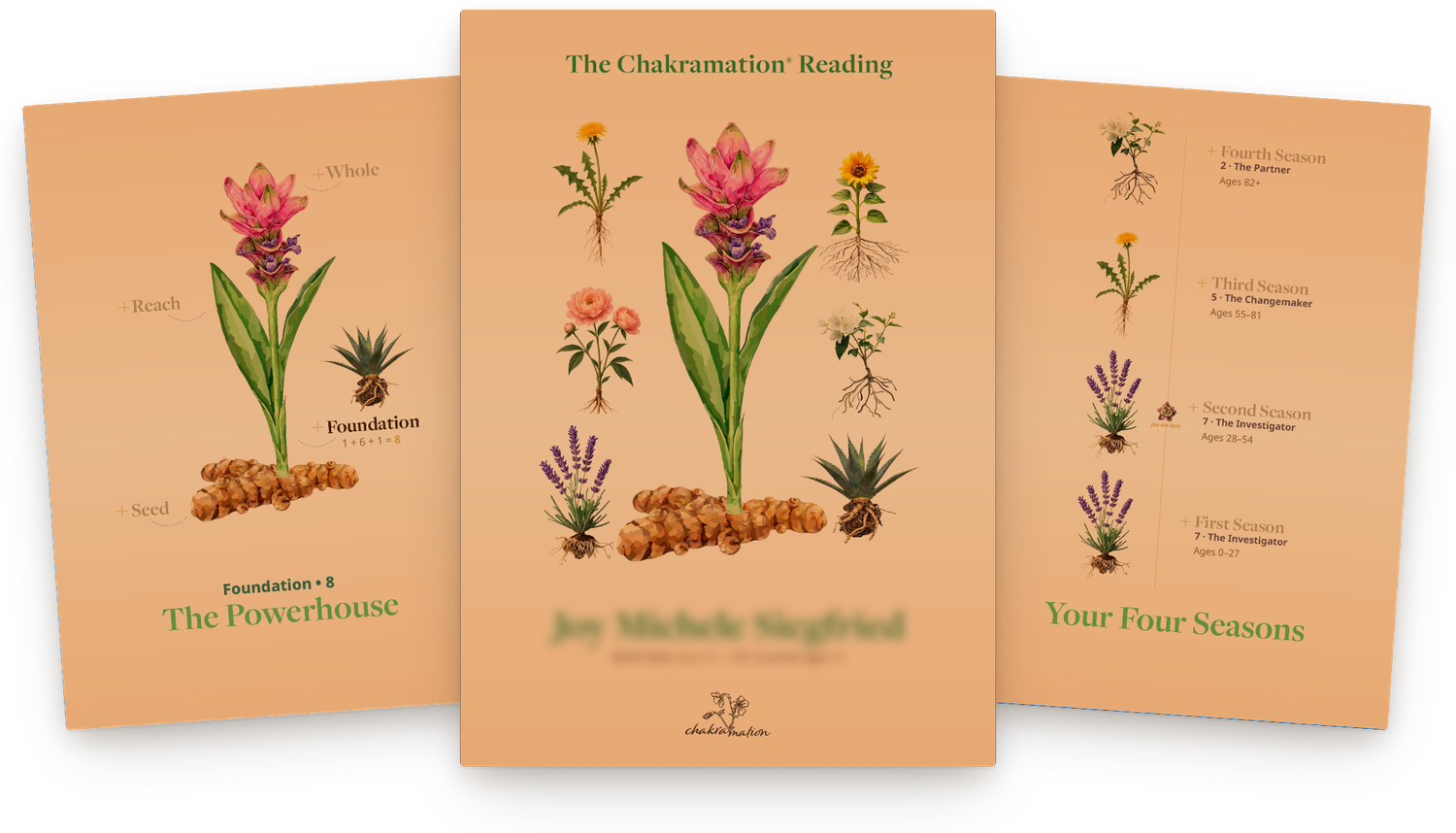 Pages from a Chakramation Reading: the cover, a Foundation chapter, and Your Four Seasons.