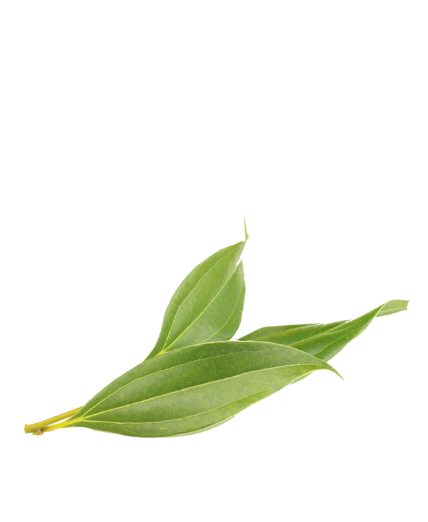 cinnamon-ingredient.png