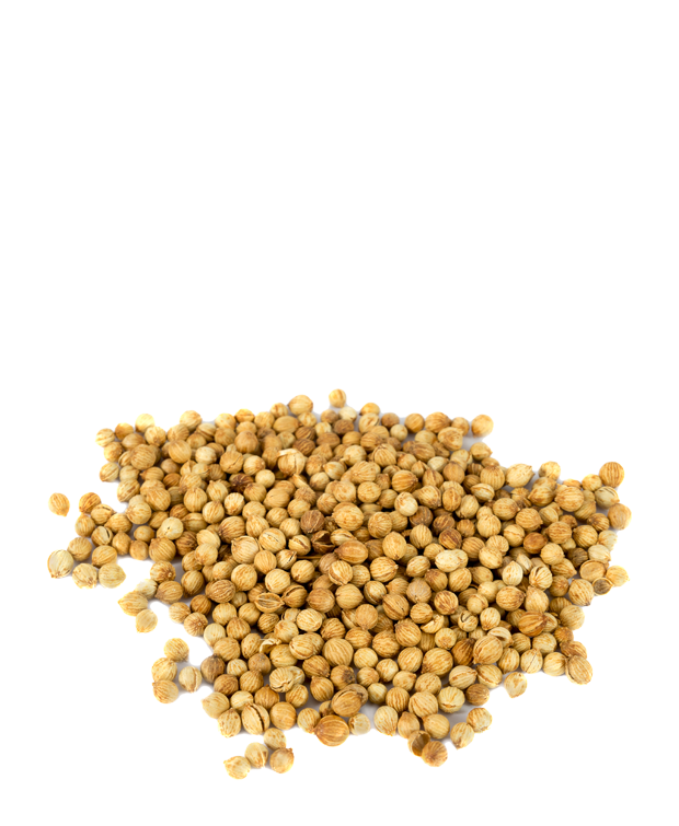 coriander-seeds-ingredient-1.png