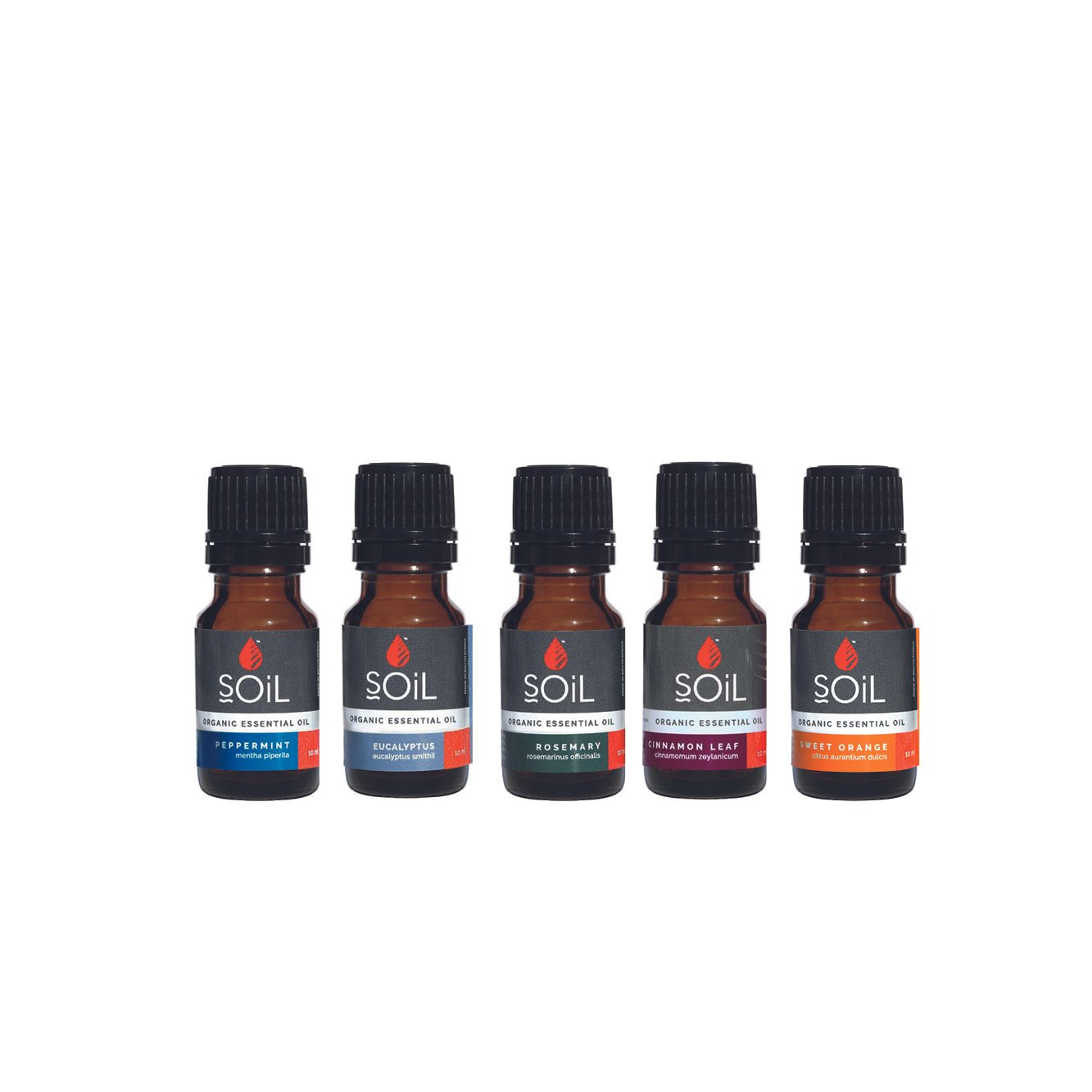 Organic Essential Oil Winter Bundle