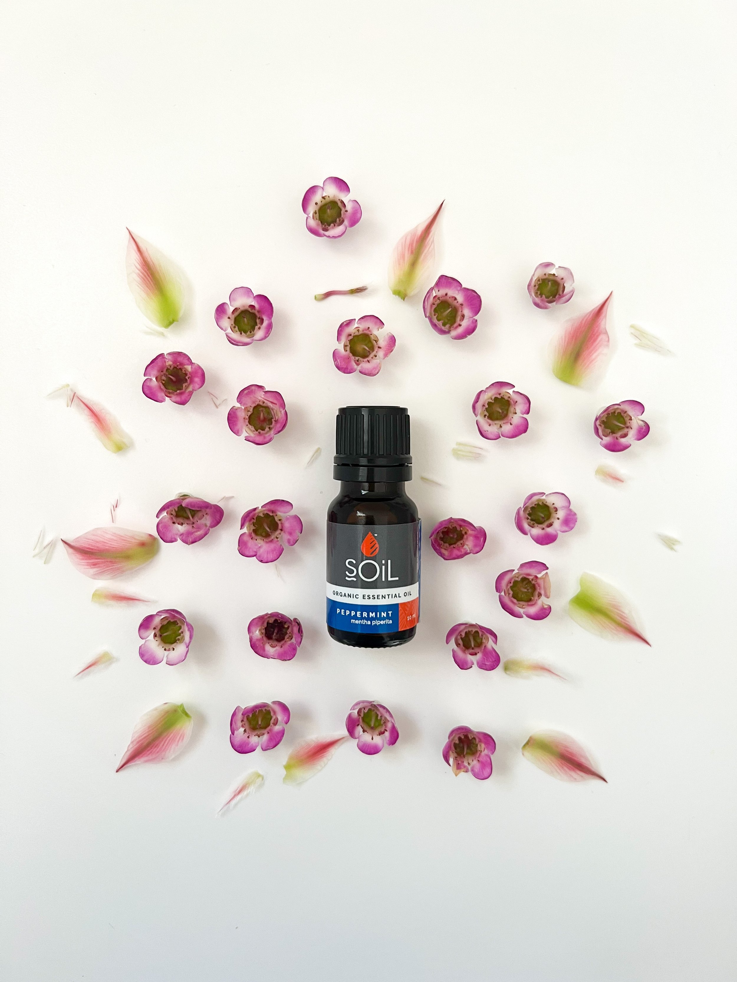 Peppermint Oil.jpeg