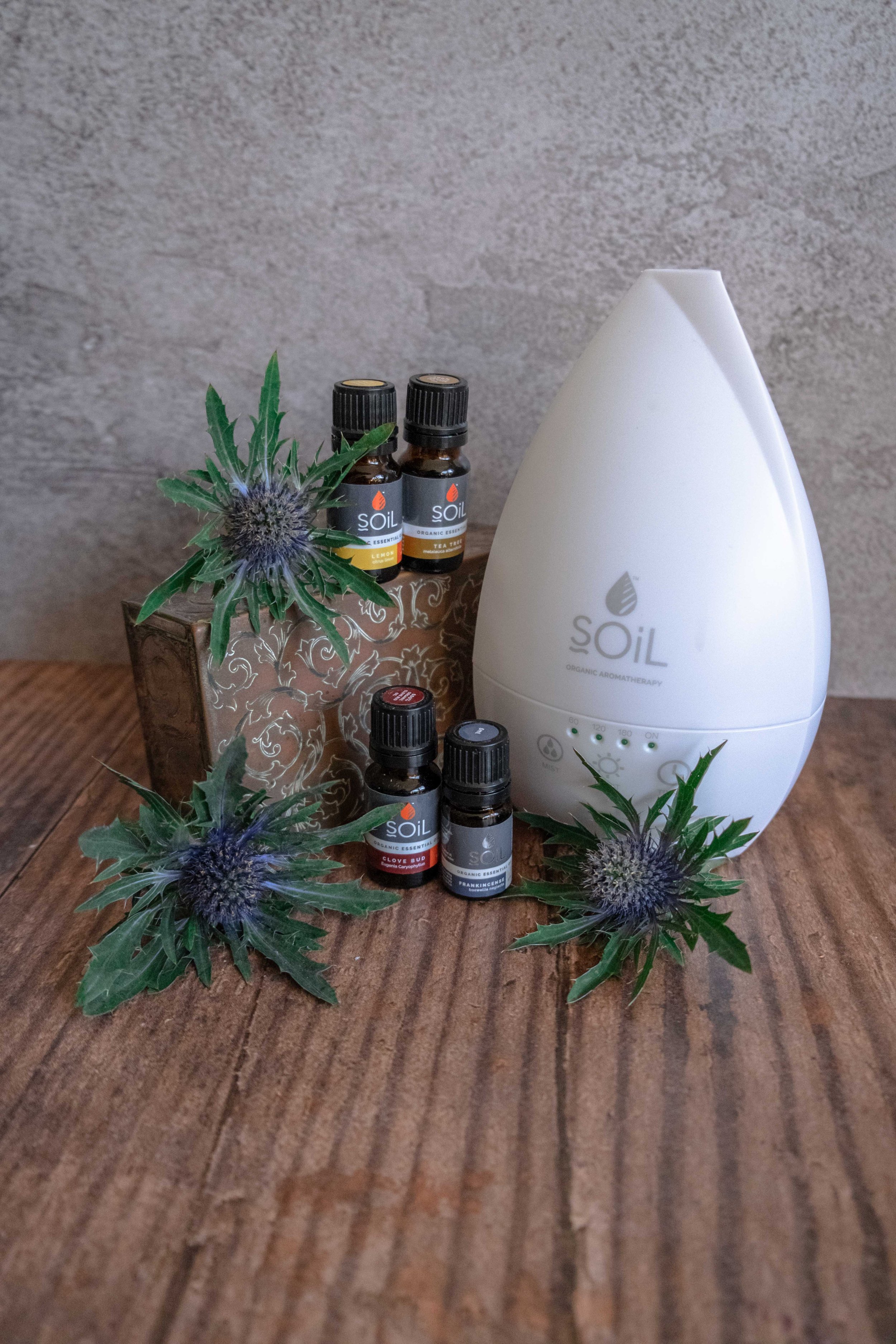 Oils, Diffuser with Thistles.jpg