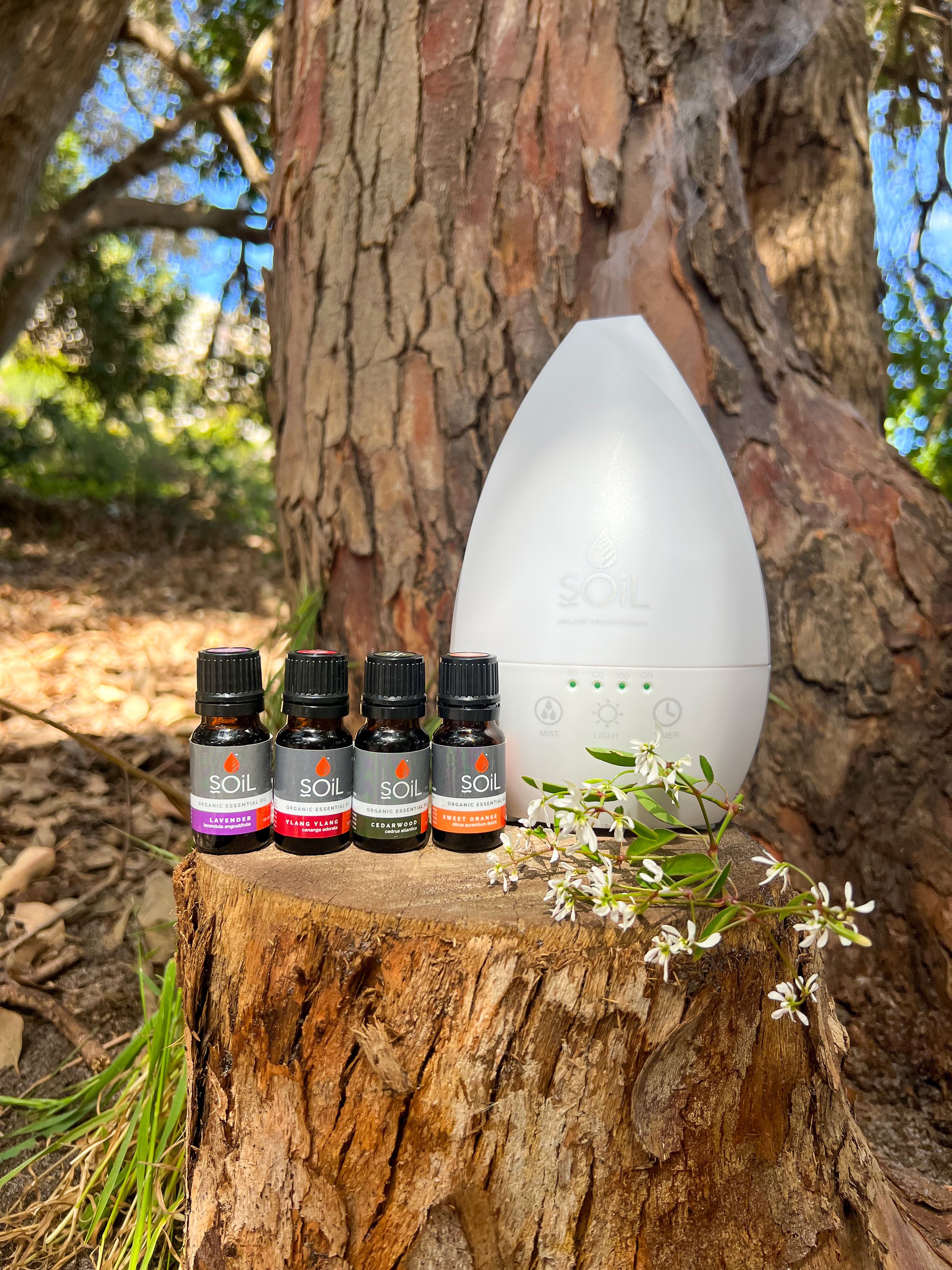 Lavender, Ylang Ylang, Cedarwood, Sweet Orange with Diffuser Outside.jpeg