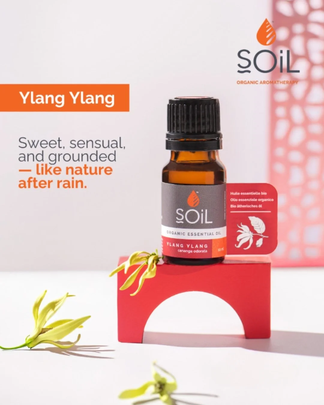 Our 𝗬𝗹𝗮𝗻𝗴 𝗬𝗹𝗮𝗻𝗴 Essential Oil is a sensory journey - floral, exotic, and deeply grounding.

Loved for its ability to soothe the mind and uplift the mood, it&rsquo;s a reminder that calm and strength can coexist beautifully.

#soilorganicsuk