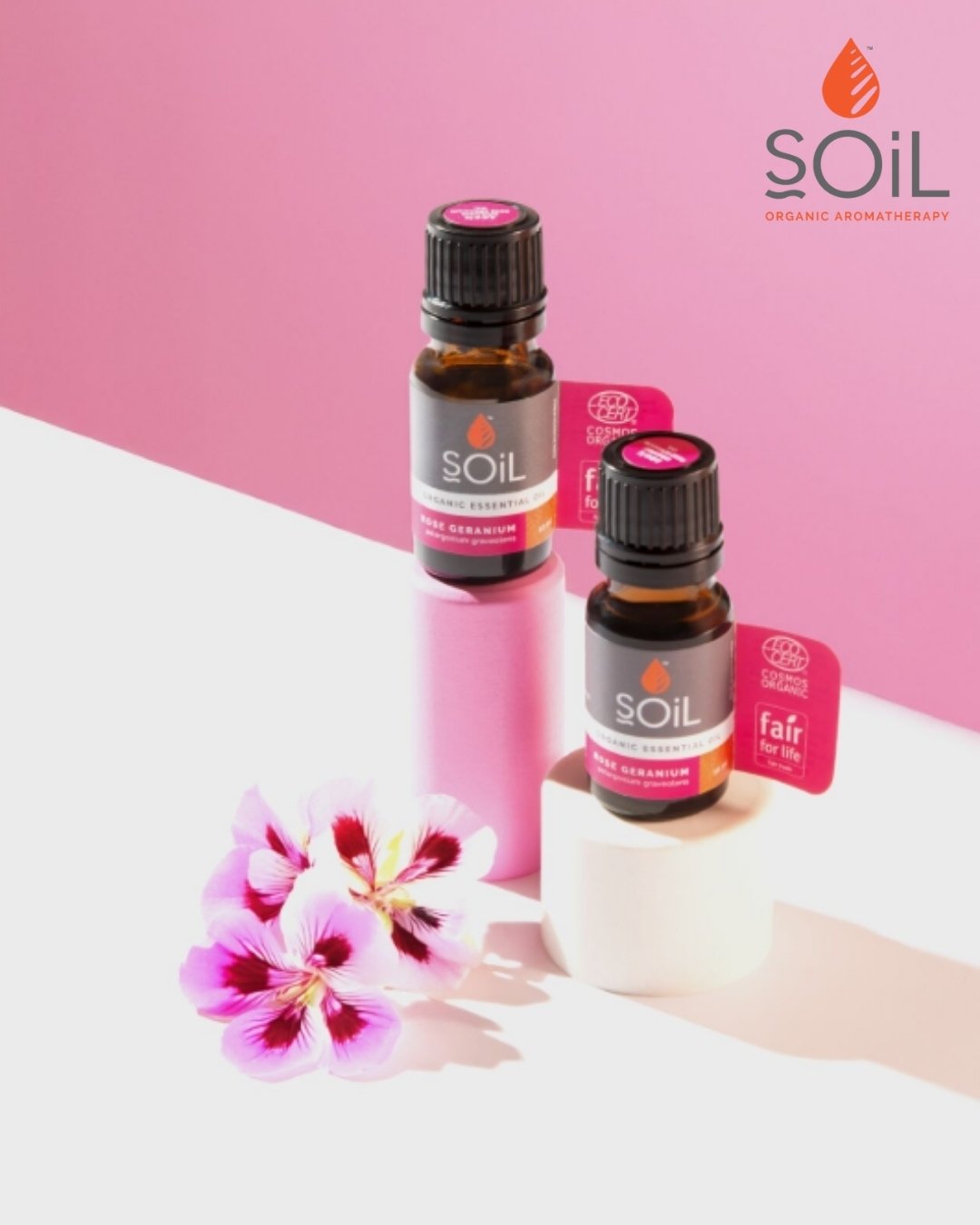 Floral harmony that uplifts and balances.🌸

A sweet companion for calm, joy, and inner balance.
👉Add a few drops to a diffuser or oil burner.

#soilorganicsuk #aromatherapy #aromatherapyproducts #naturalremedy #rosegeraniumessentialoil #oil #diffus