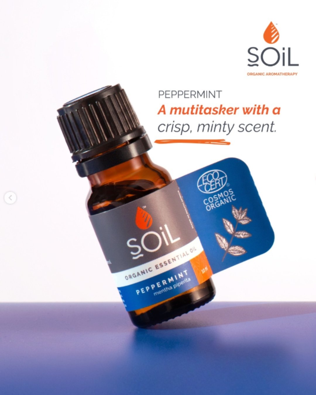 Peppermint oil is a multitasker with a crisp, minty scent.🌿

In aromatherapy it&rsquo;s used to create a refreshing environment and is enjoyed for its cooling sensation on skin (always dilute). Inhale deeply for an instant energy boost!

#soilorgani