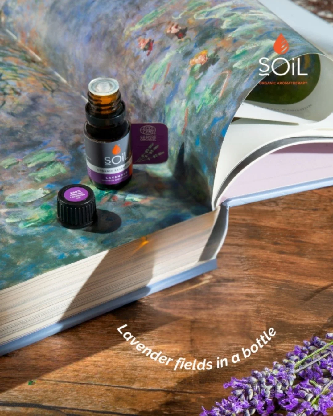 A few drops of Lavender oil turn reading time into a spa moment. Its sweet floral aroma is known for calming nervous tension 🪻

#naturalremedies #aromatherapy #essentialoils #organic #lavenderessentialoil #calming #crueltyfree #selfcare #unwind #org
