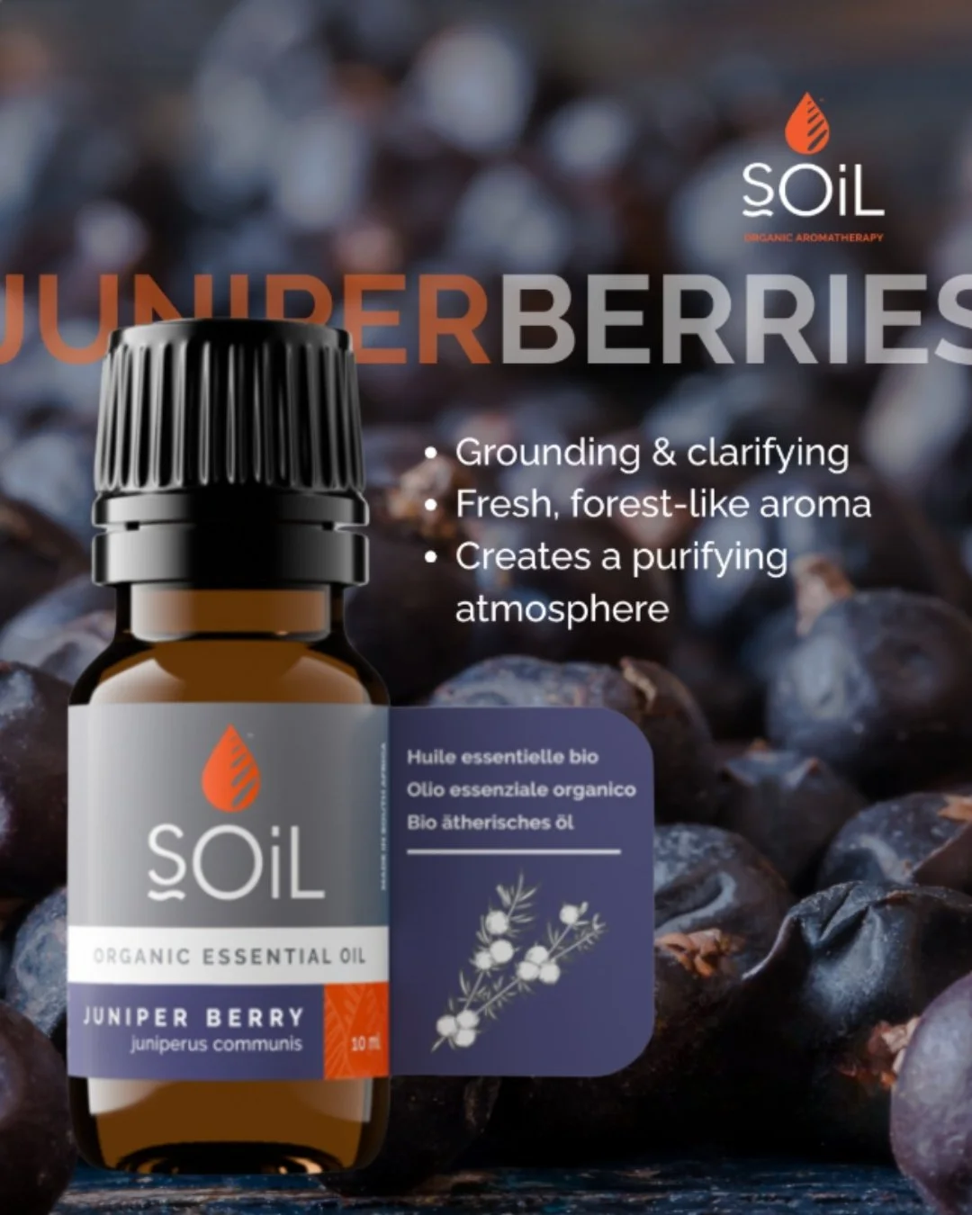 Juniper's fresh, slightly woody scent feels like walking through a cool mountain forest.🌲

Traditionally used in aromatherapy for its purifying aroma, it&rsquo;s beautiful in diffuser blends with citrus and Cedarwood. 

#aromatherapy #organic #essen