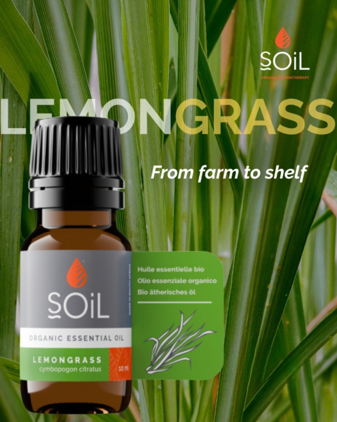 Lemongrass essential oil is your go-to for an instant reset. This powerhouse oil is incredibly invigorating&mdash;designed to stimulate your senses, revive your focus, and keep your body energised throughout the day.

#aromatherapy #selfcare #natural