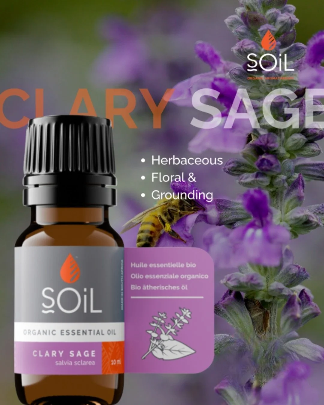 Clary Sage essential oil has a warm, slightly nutty floral aroma that feels deeply centering. 

Often used in aromatherapy during times of transition, it blends beautifully with Lavender or Bergamot. Gentle strength in a bottle.

#aromatherapy #natur