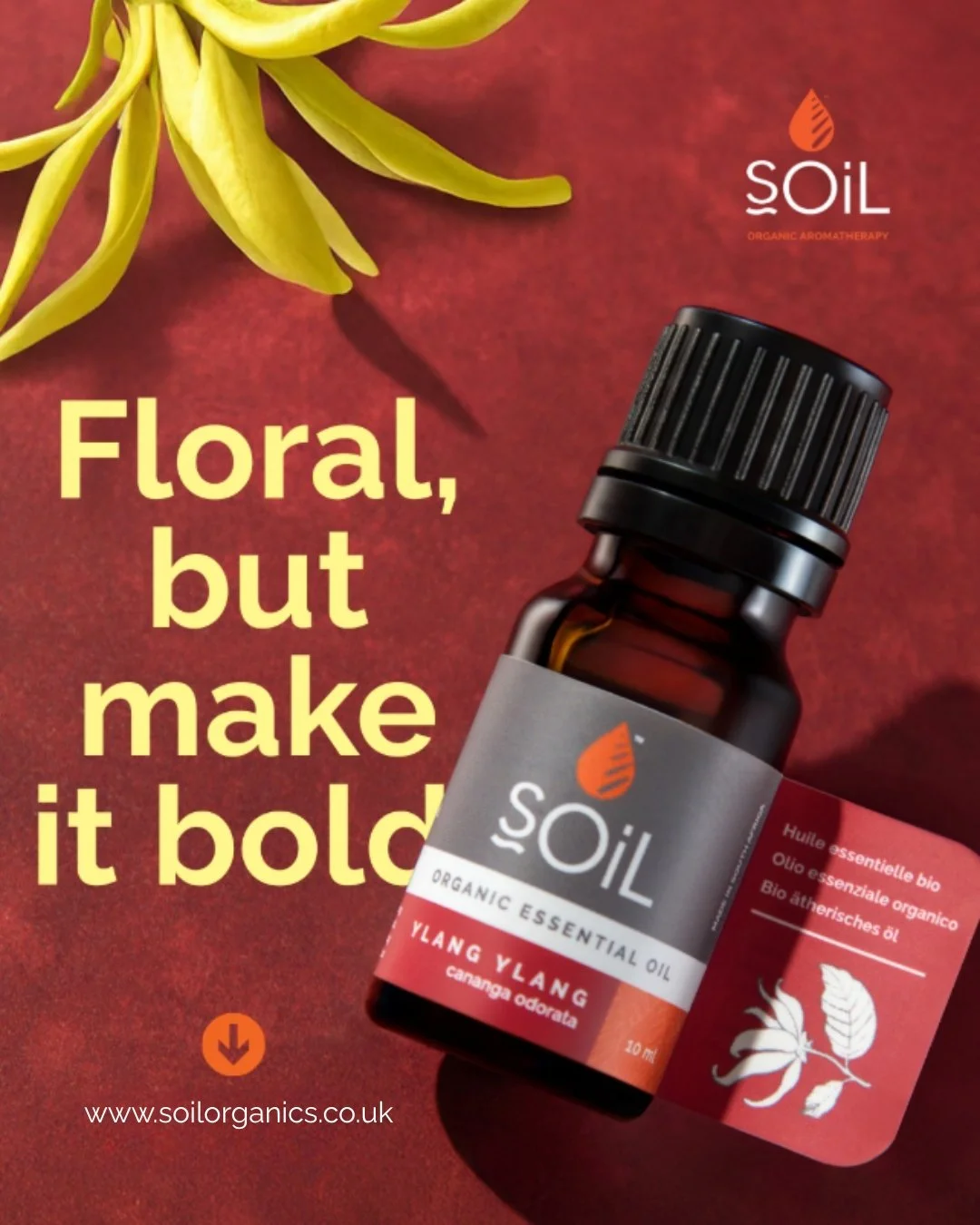 Ylang Ylang's exotic floral scent adds richness to diffuser blends. 

Pair with Bergamot for brightness or Sandalwood for depth.

#aromatherapy #naturalremedy #essentialoils #crueltyfree #organic #Wellbeing #wellness #plantbased #plantpower #vegan #g