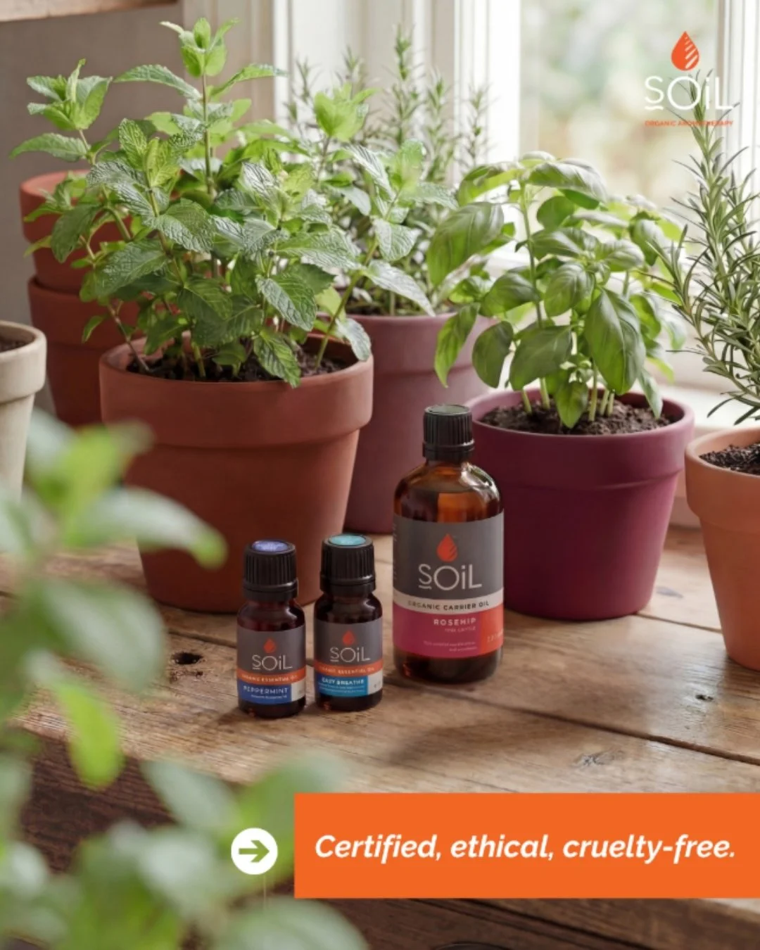 The standards behind SOiL matter just as much as the scent in the bottle...🌿

Our COSMOS Organic by Ecocert certification ensures every ingredient is sustainably sourced and ethically produced to the highest standards.

www.soilorganics.co.uk
#wellb