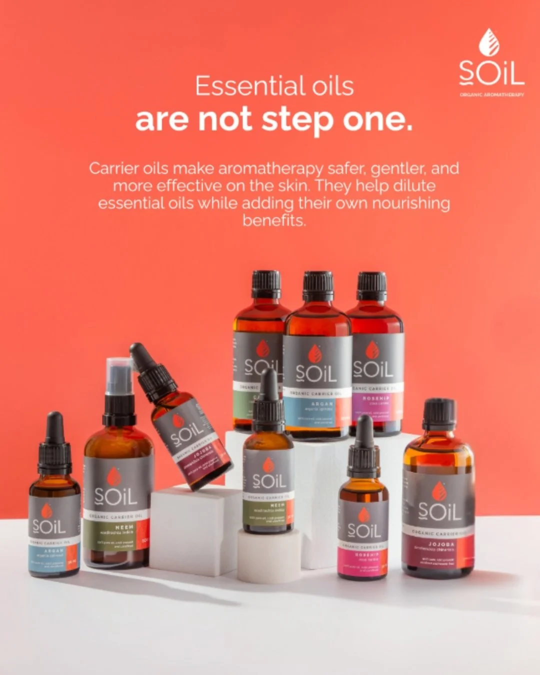 Carrier oils are what make topical aromatherapy feel grounded and skin-friendly.

#aromatherapy #CarrierOils #naturalremedies #wellbeing #selfcare #vegan #crueltyfree #plantpower #organic #healthyskin #glowingskin #skingoals #essentialoils #holistich
