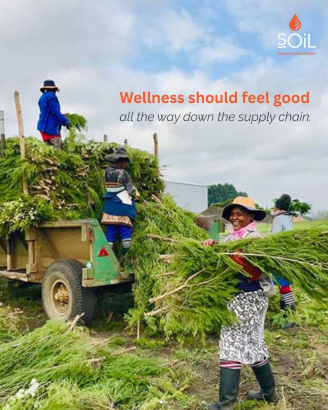 SOiL's Fair for Life commitment brings ethical sourcing and fair working conditions into the wellness conversation - right where they belong.🌿

#aromatherapy #selfcare #Wellness #organic #naturalremedies #wellbeing #crueltyfree #plantbased #plantpow