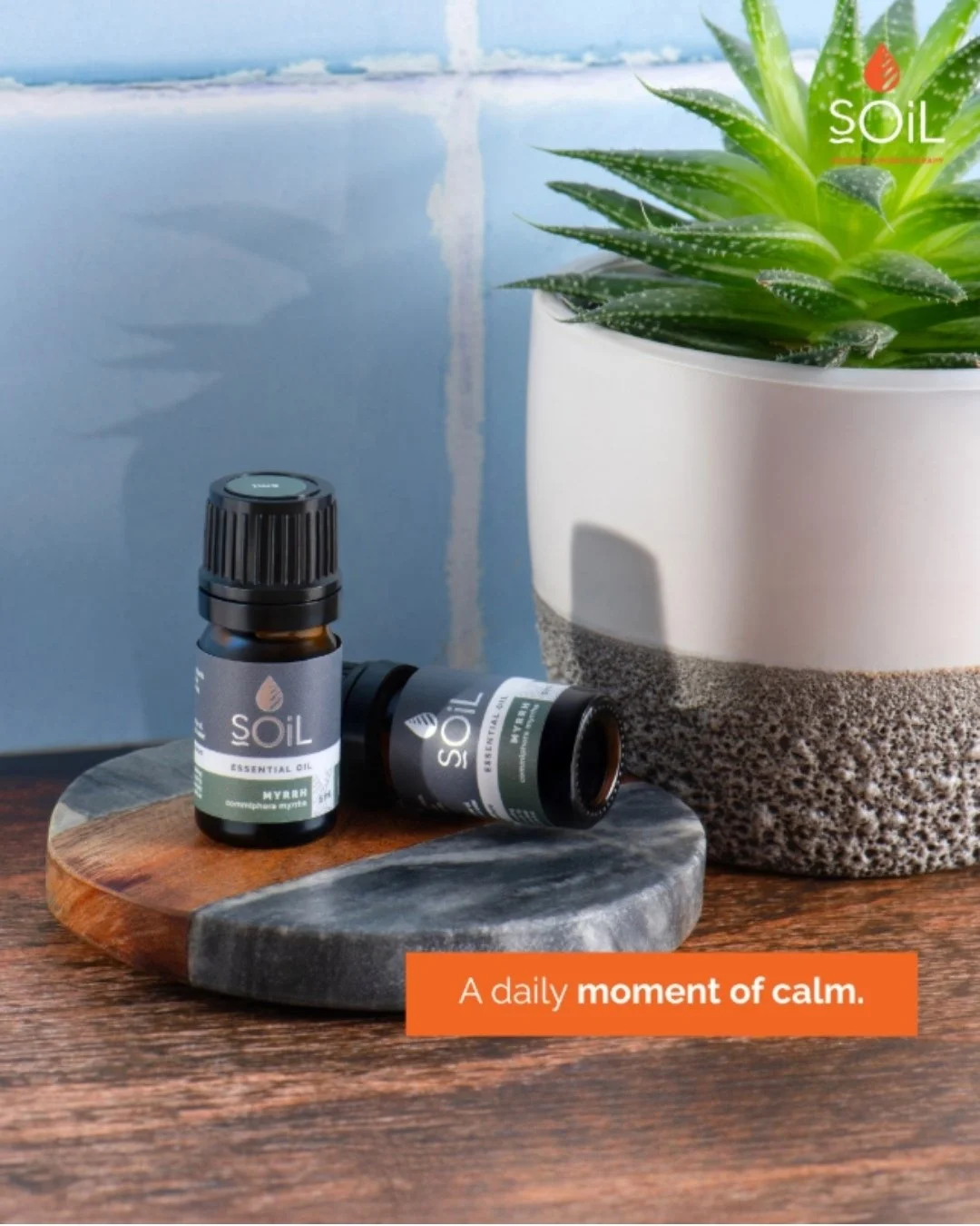From resin to ritual - Frankincense connects past and present through scent. A warm, meditative aroma that invites stillness into your day.

Frankincense is perfect for slow mornings or evening wind-downs.

#aromatherapy #organic #essentialoils #natu