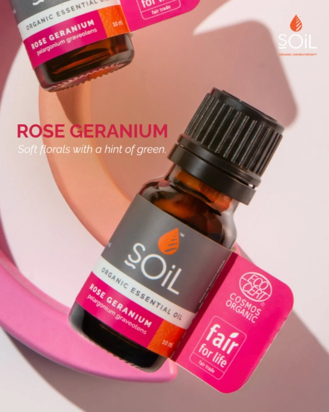 Rose Geranium feels like balance in bloom. A beautifully layered scent - fresh, floral, and gently uplifting. Perfect for creating a serene atmosphere.🌸

#aromatherapy #organic #essentialoils #organicessentialoils #plantbased #plantpower #crueltyfre