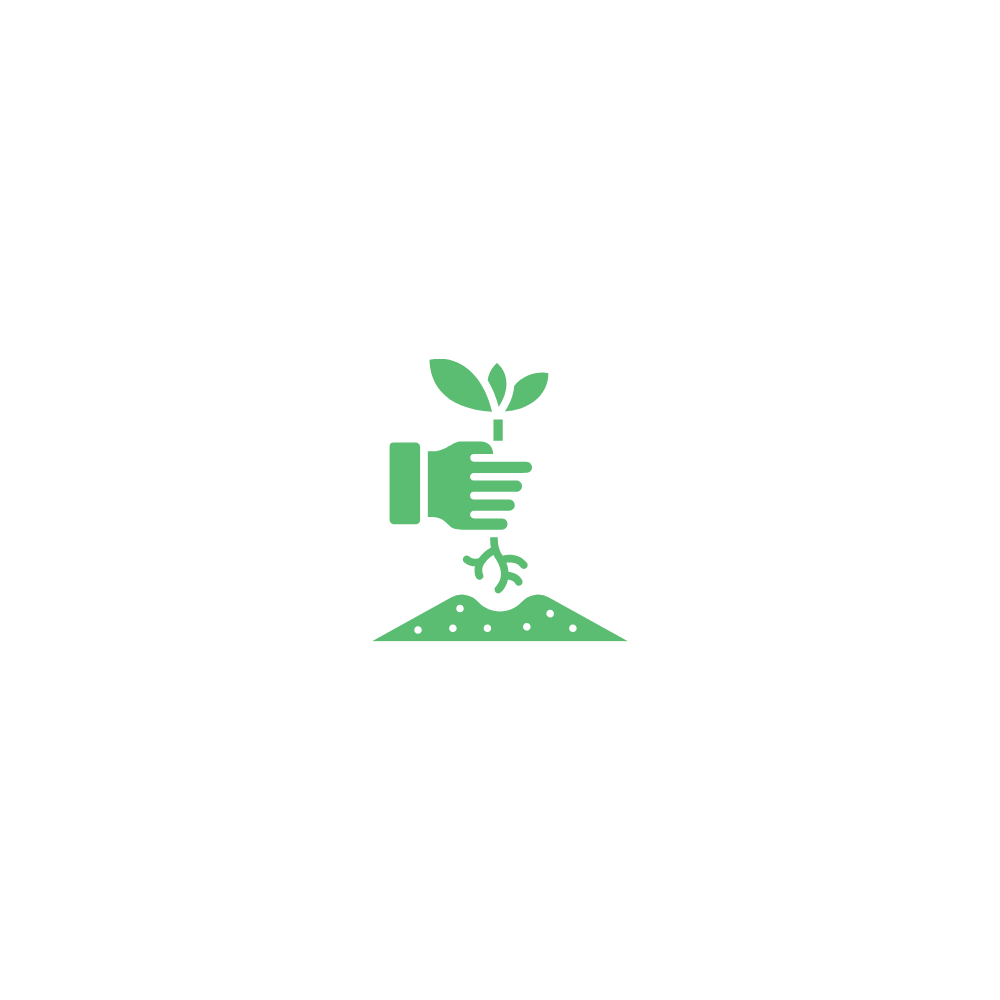 A person watering a small plant with a hand, with green leaves, growing from soil, symbolising organic cultivation.