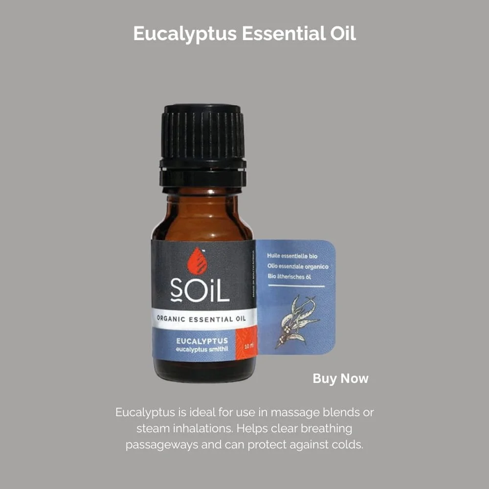 Bottle of eucalyptus essential oil with a gray background, labeled 'Soil Organic Essential Oil Eucalyptus'. The label includes an illustration of eucalyptus leaves. A 'Buy Now' button is visible, and the description mentions that eucalyptus oil is used for massage blends or steam inhalations, helping clear breathing passages and protecting against colds.