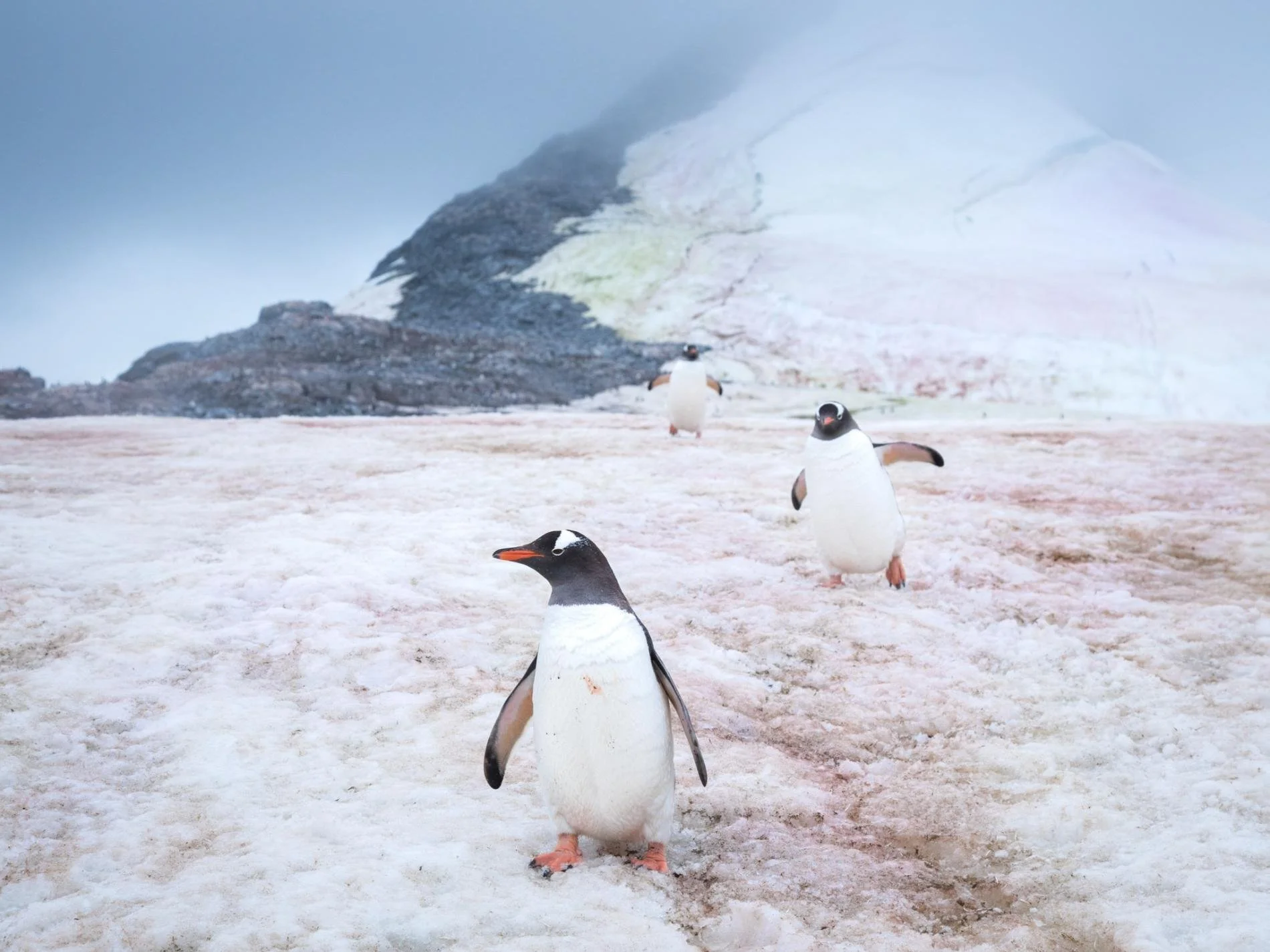 夏科港一景 Credit: ACACIA JOHNSON