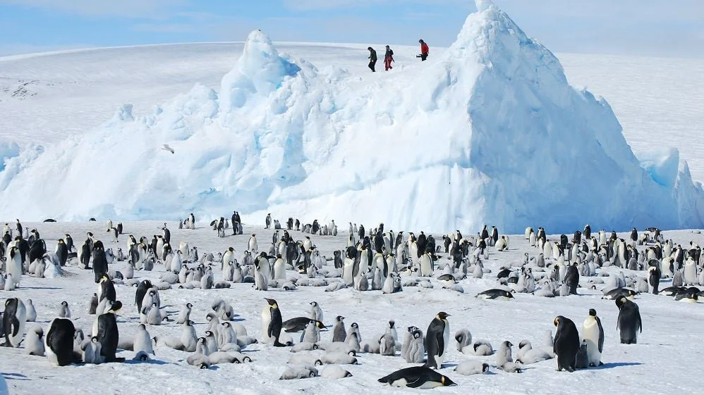 credit: maritime-executive.com