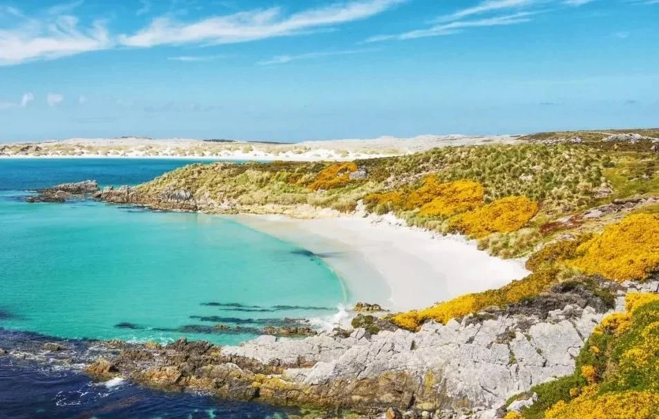 福克蘭群島Falkland Islands