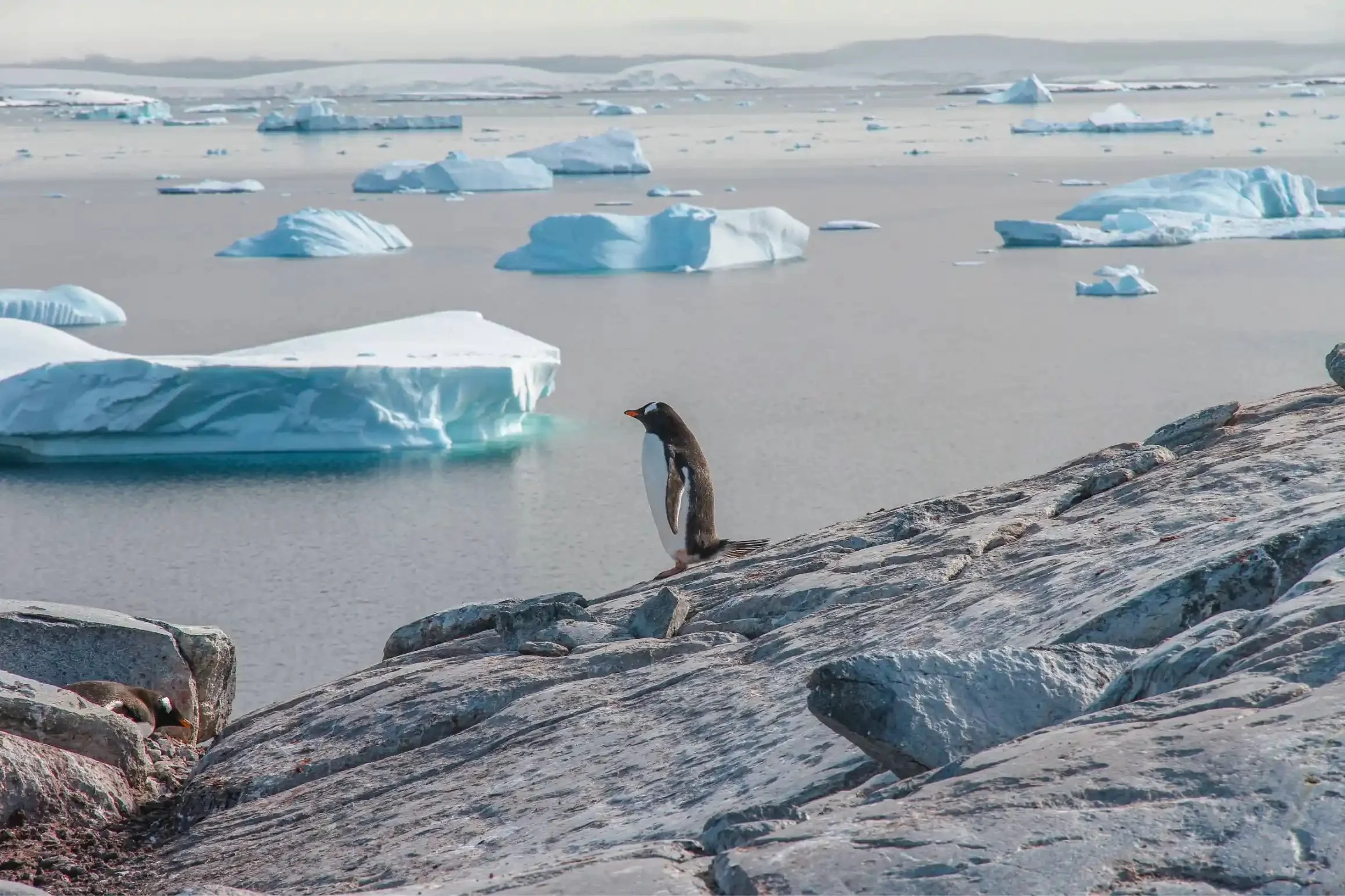 Credit: travelerian.com