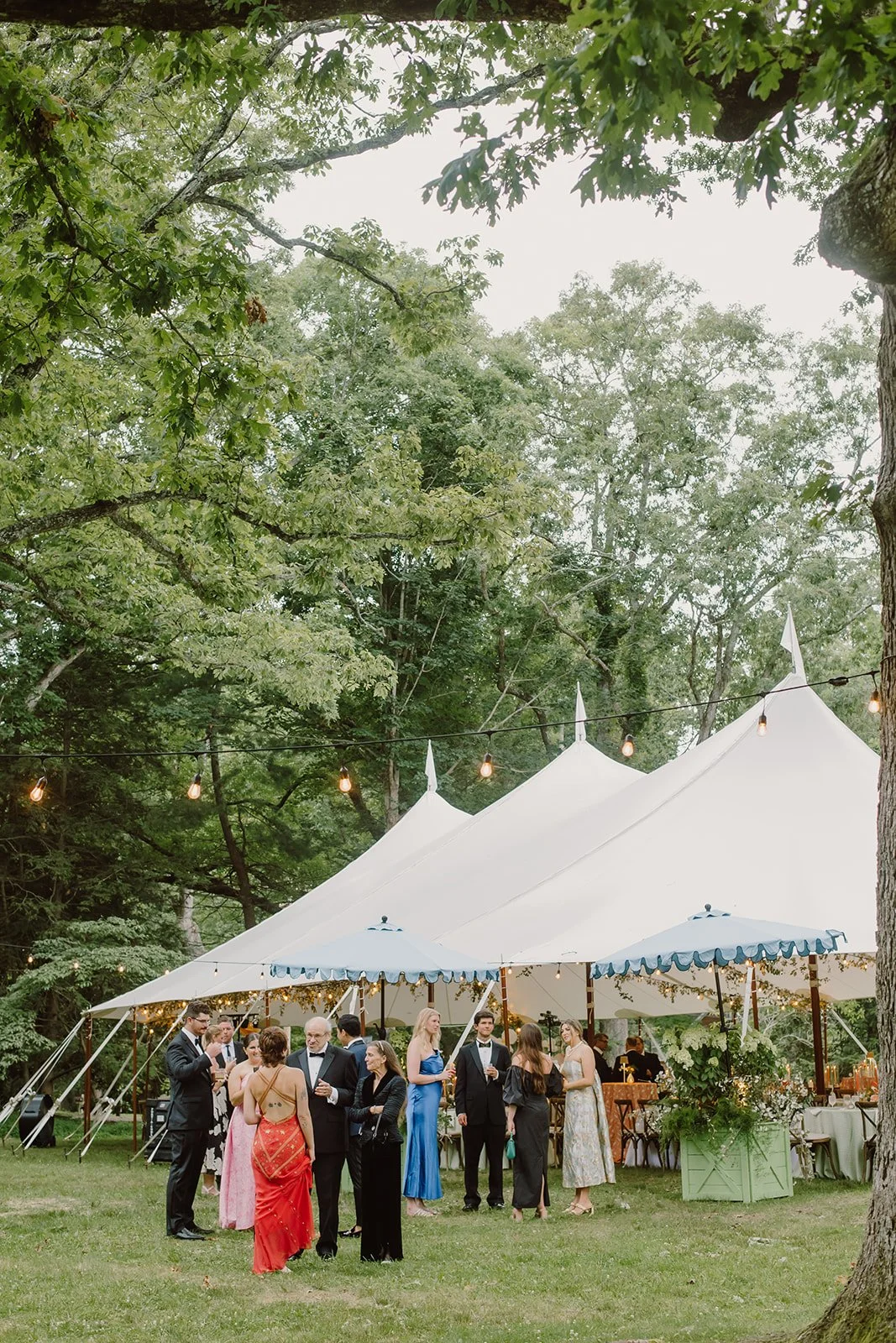 People in formal attire gathered outdoors at a party or wedding under a large white pavilion tent, with string lights overhead and green trees surrounding the area.