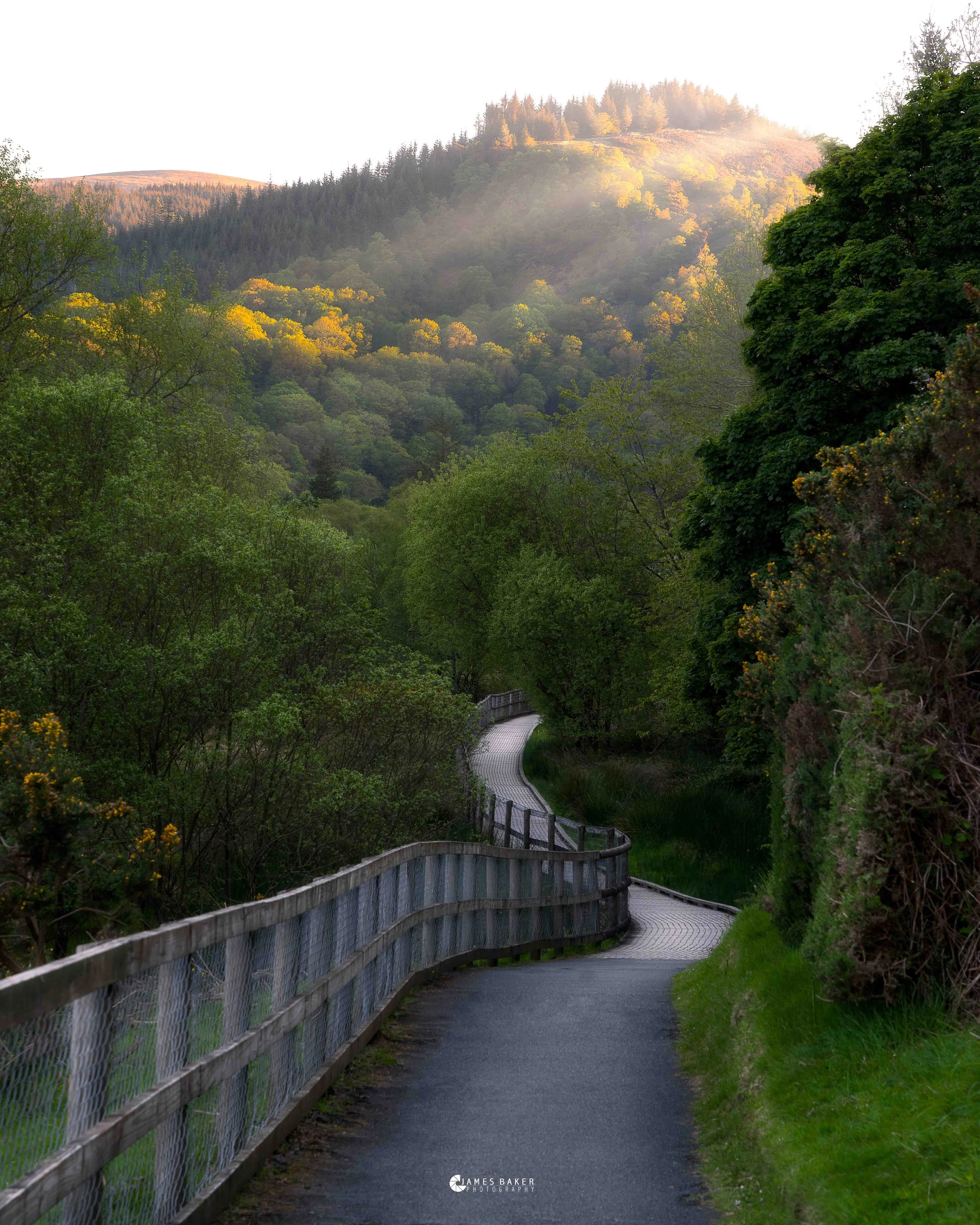 Glendalough-Walk-wicklow-ireland.jpg