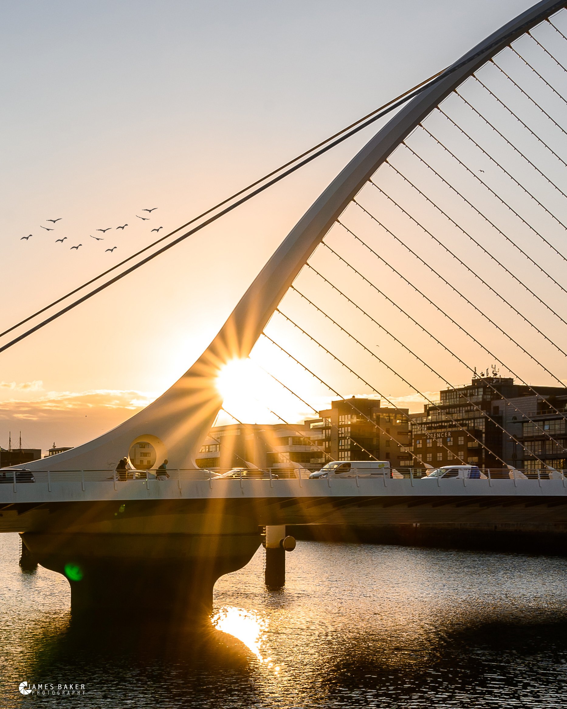 Samuel Beckett Bridge Sunset.jpg