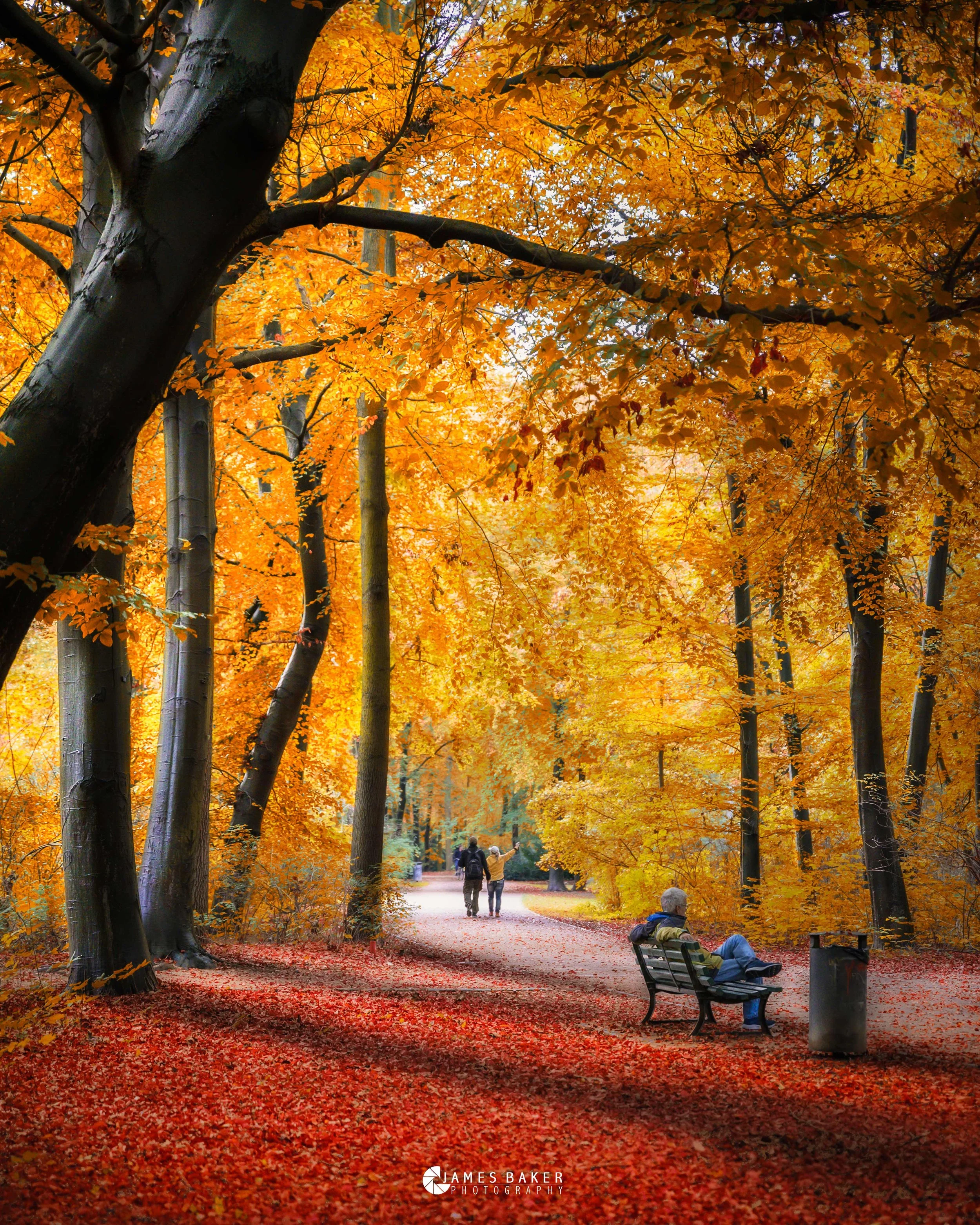 Autumn Berlin.jpg