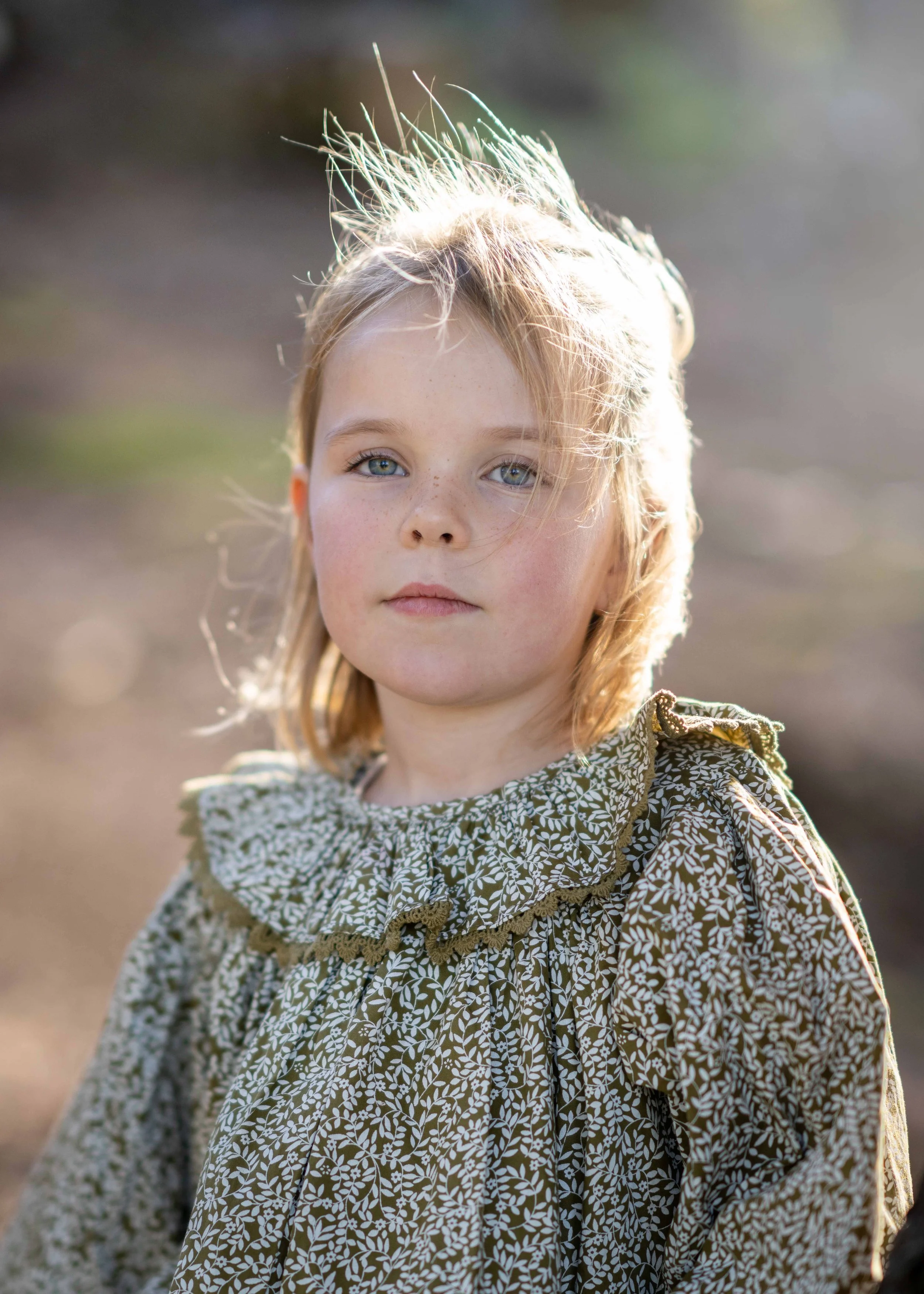 Phoebe-2.jpg