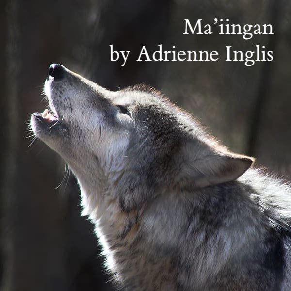Ma'iingan (Wolf) for flute and piano, inspired by Margaret Noodin's Ojibwe poem — 3:46