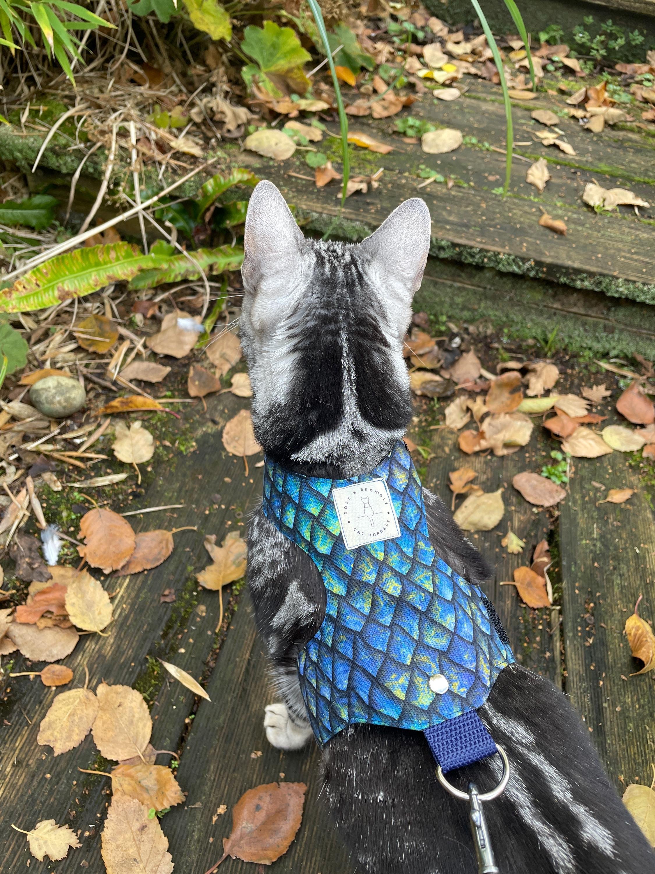 https://i.etsystatic.com/32599722/r/il/1e7bcd/6523751105/il_fullxfull.6523751105_b0ug.jpg