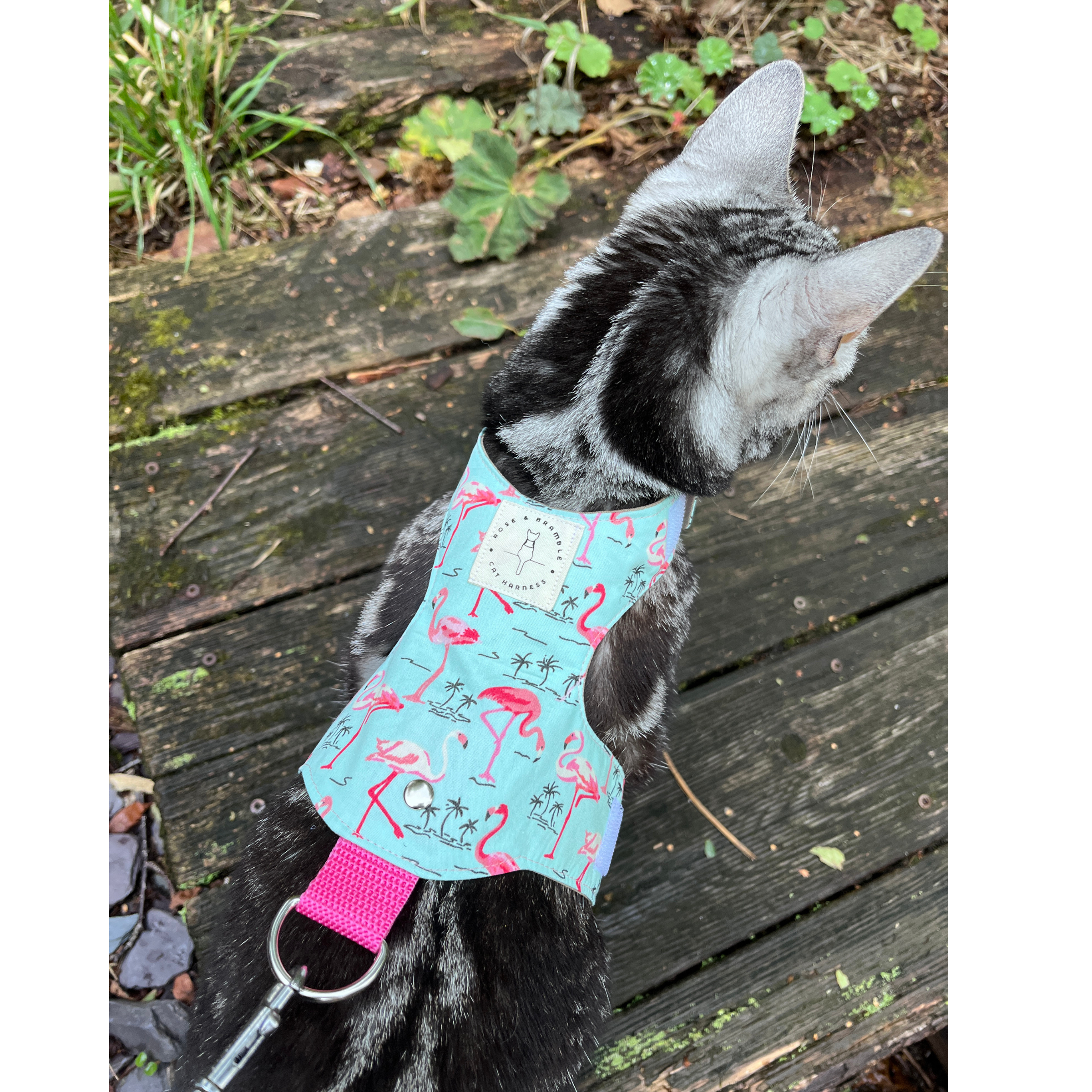 flamingo-10.png