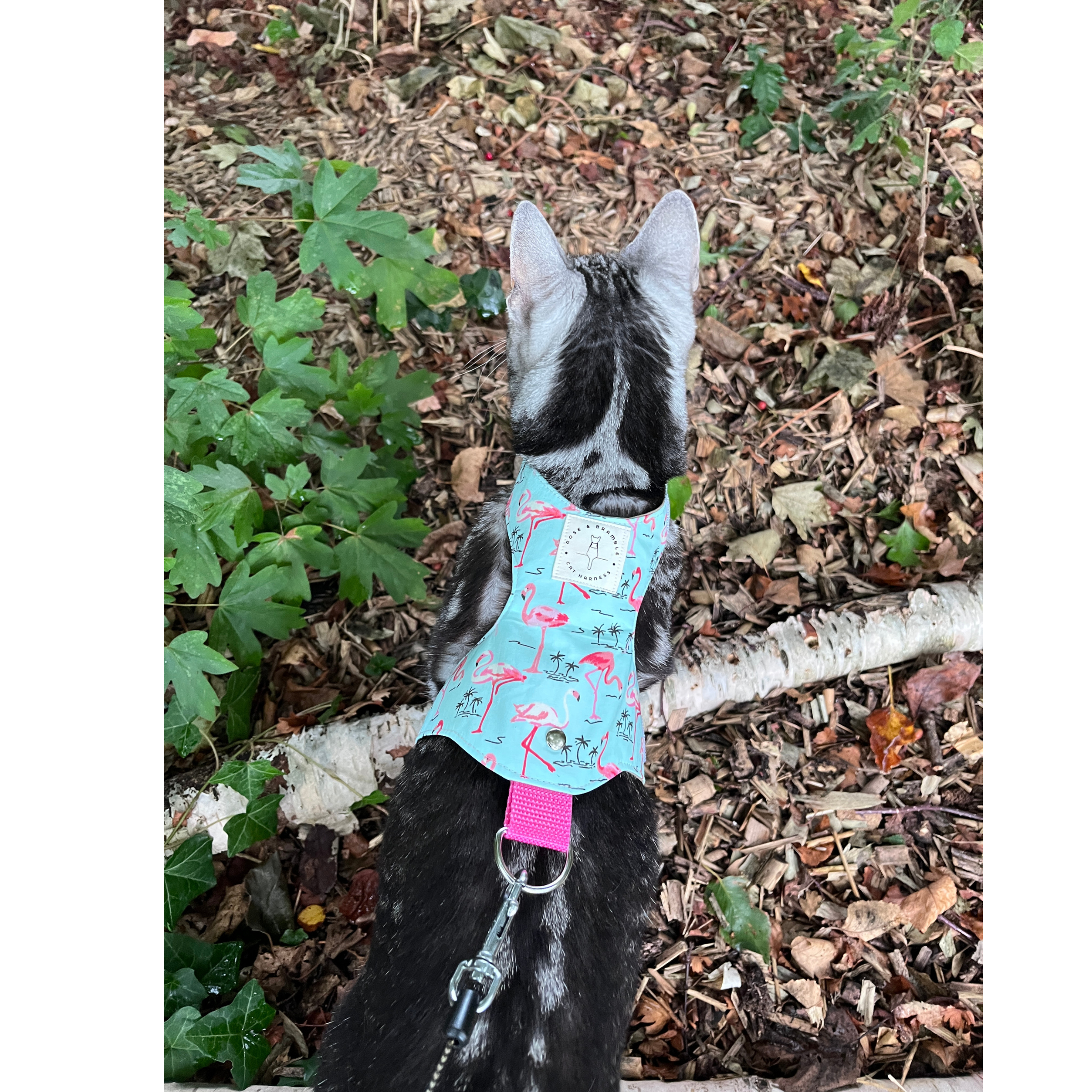 flamingo-2.png