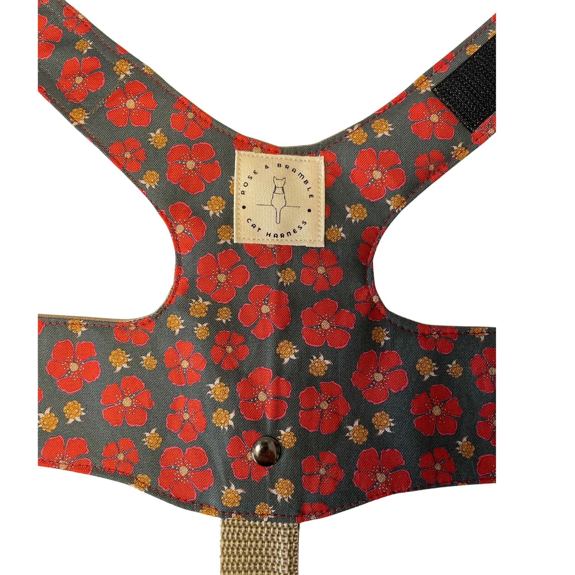 nordic berries-2.png