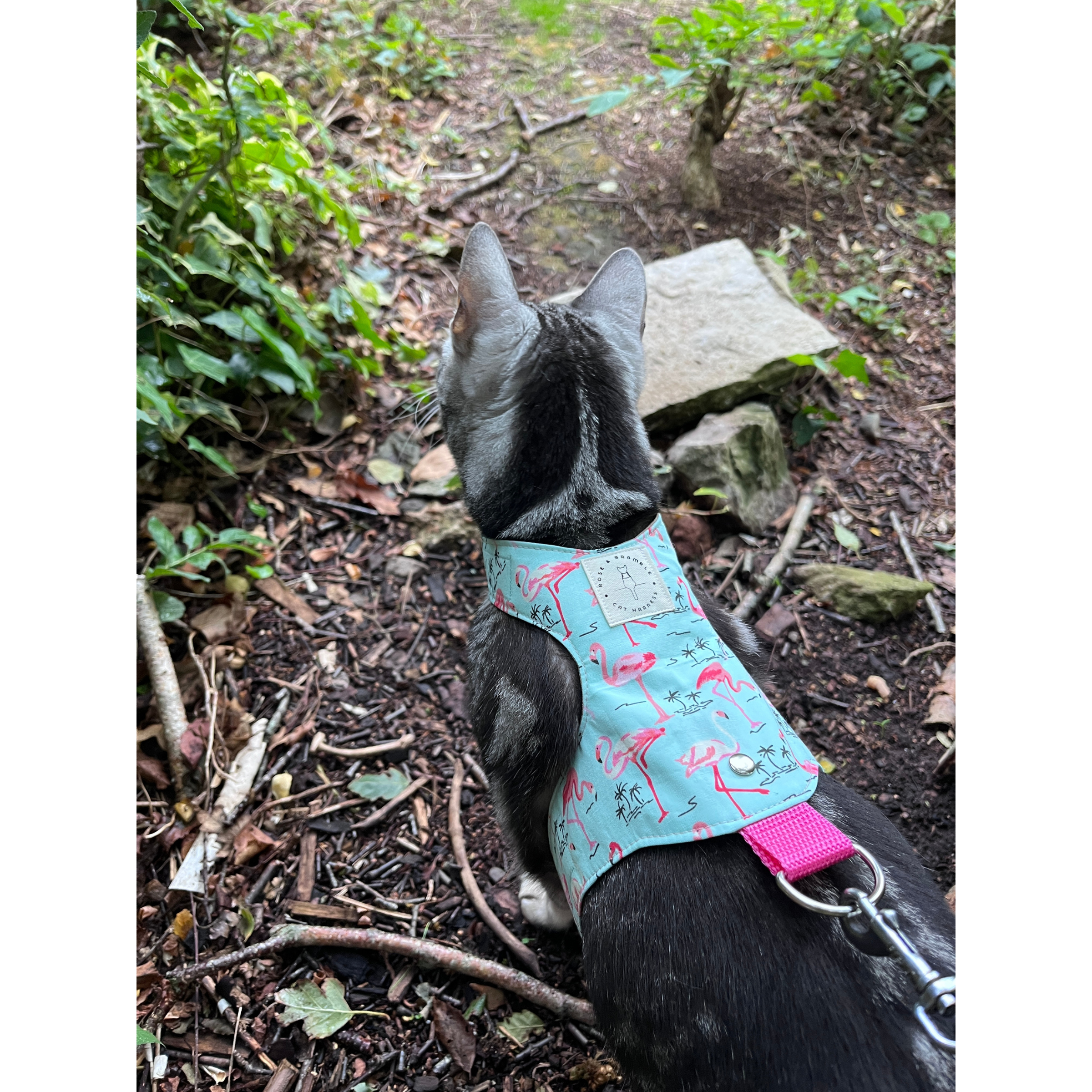 flamingo-7.png