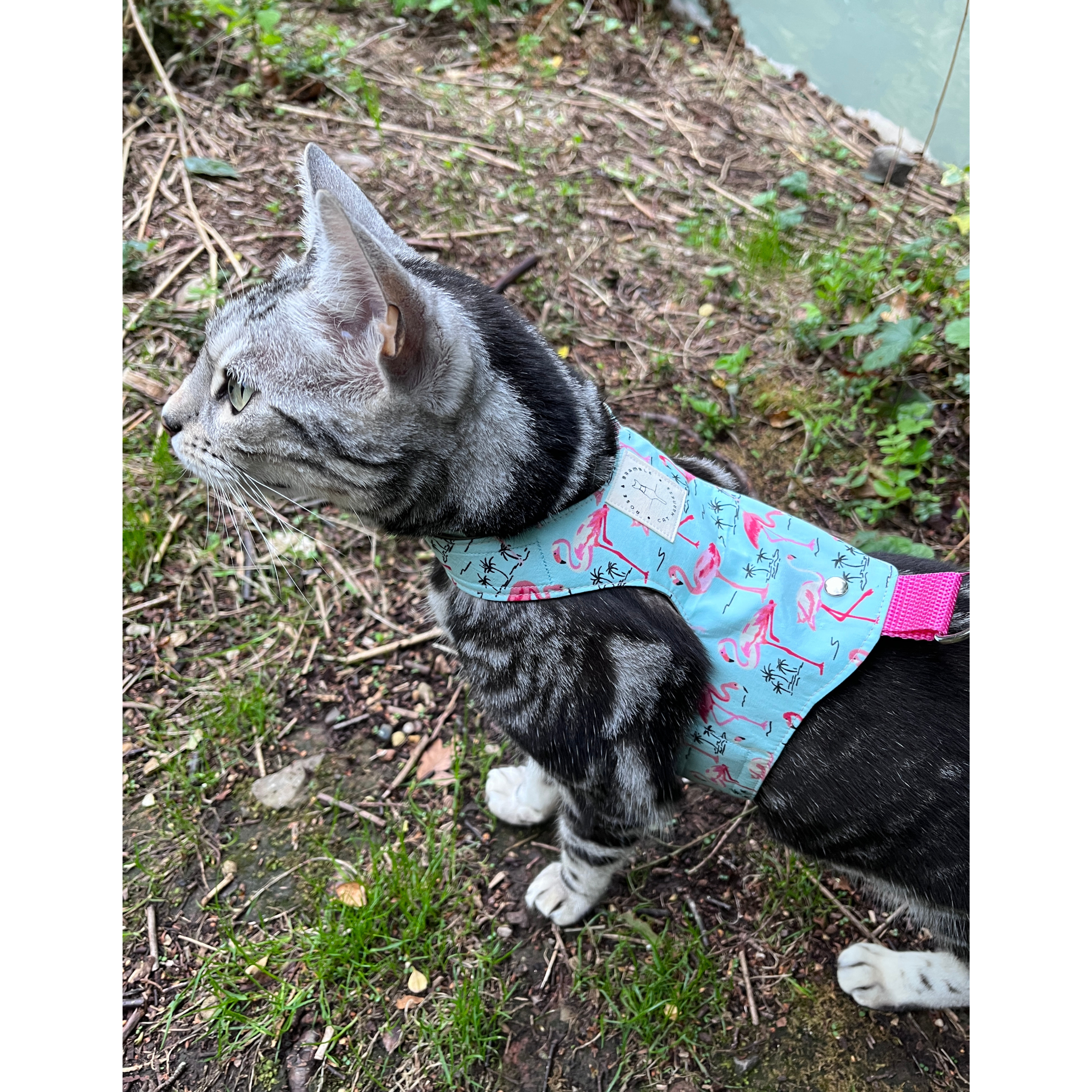 Escape proof cat harness, Kitten lead leash, - Flamingo
