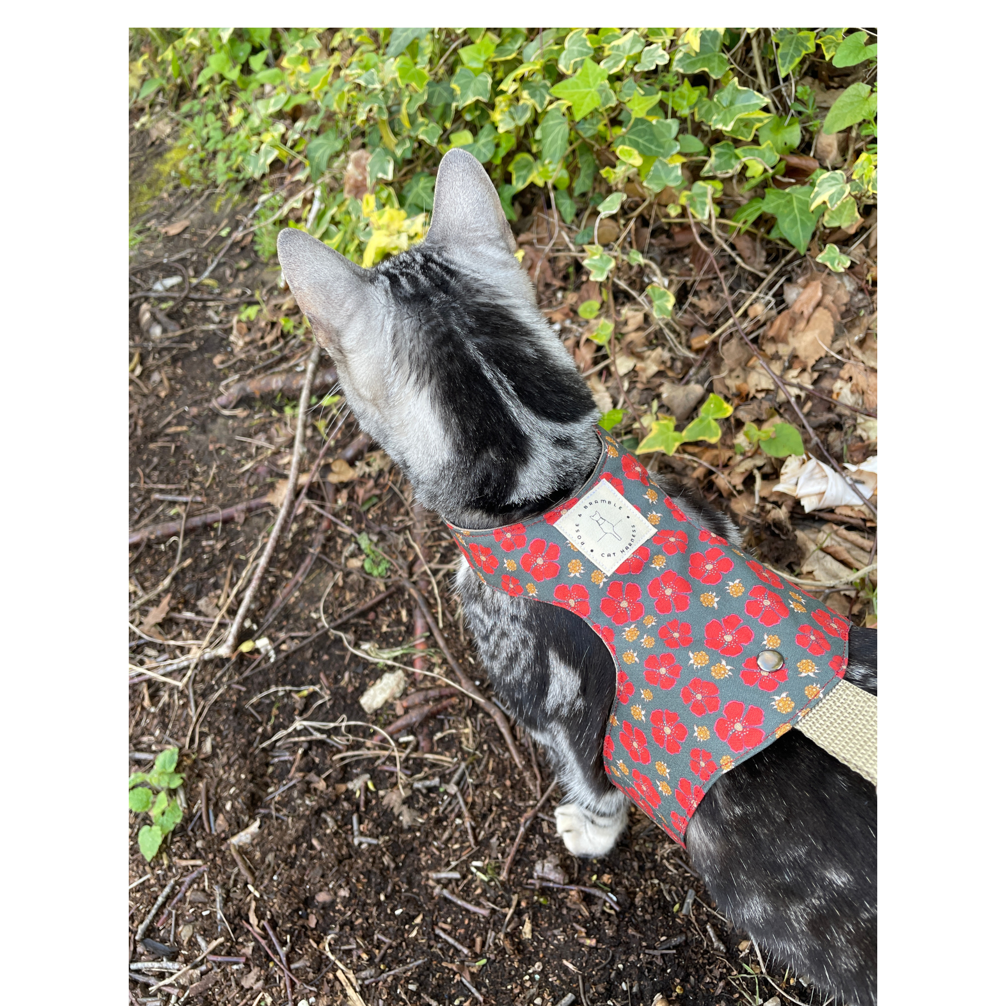 nordic berries-8.png