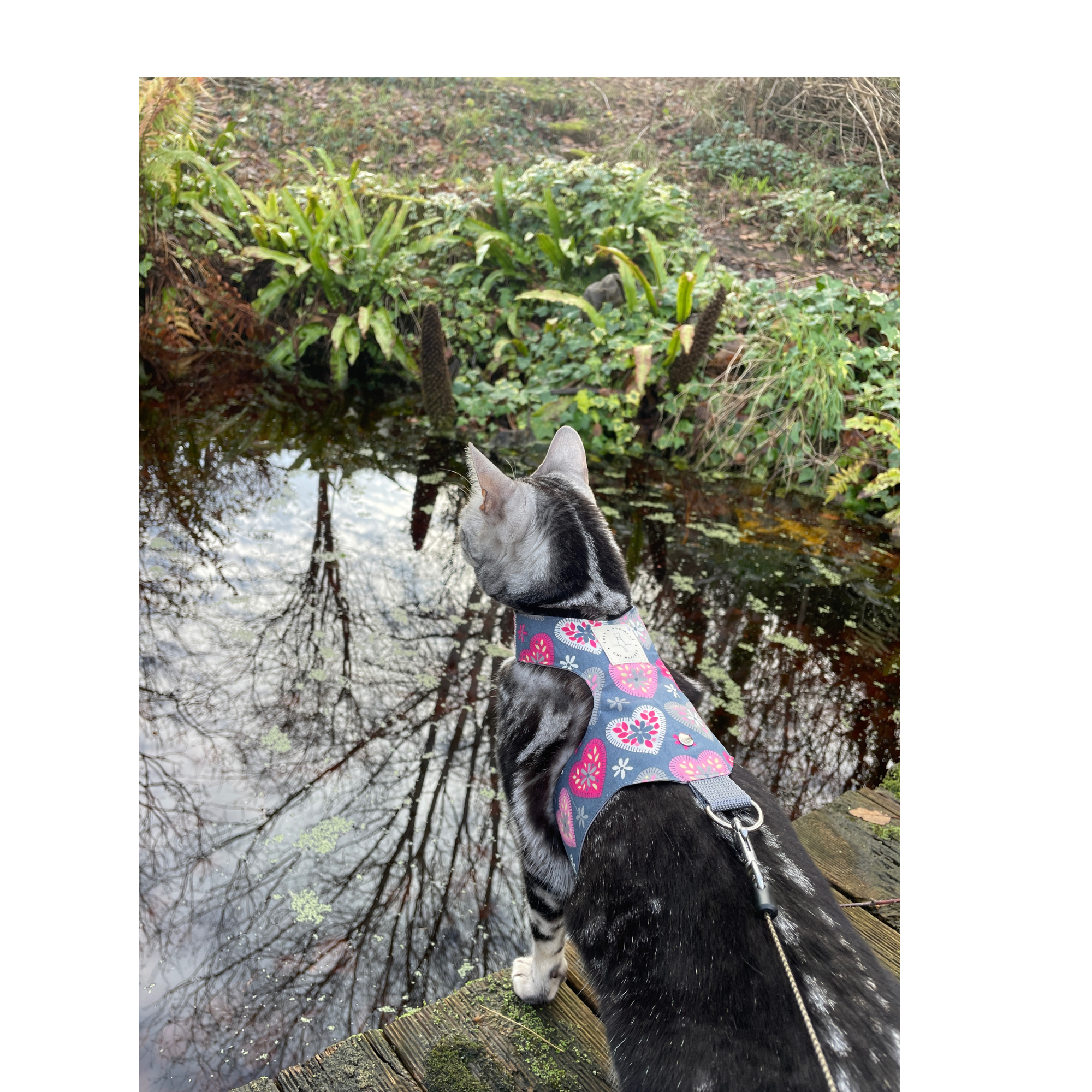 patchwork heart3.png