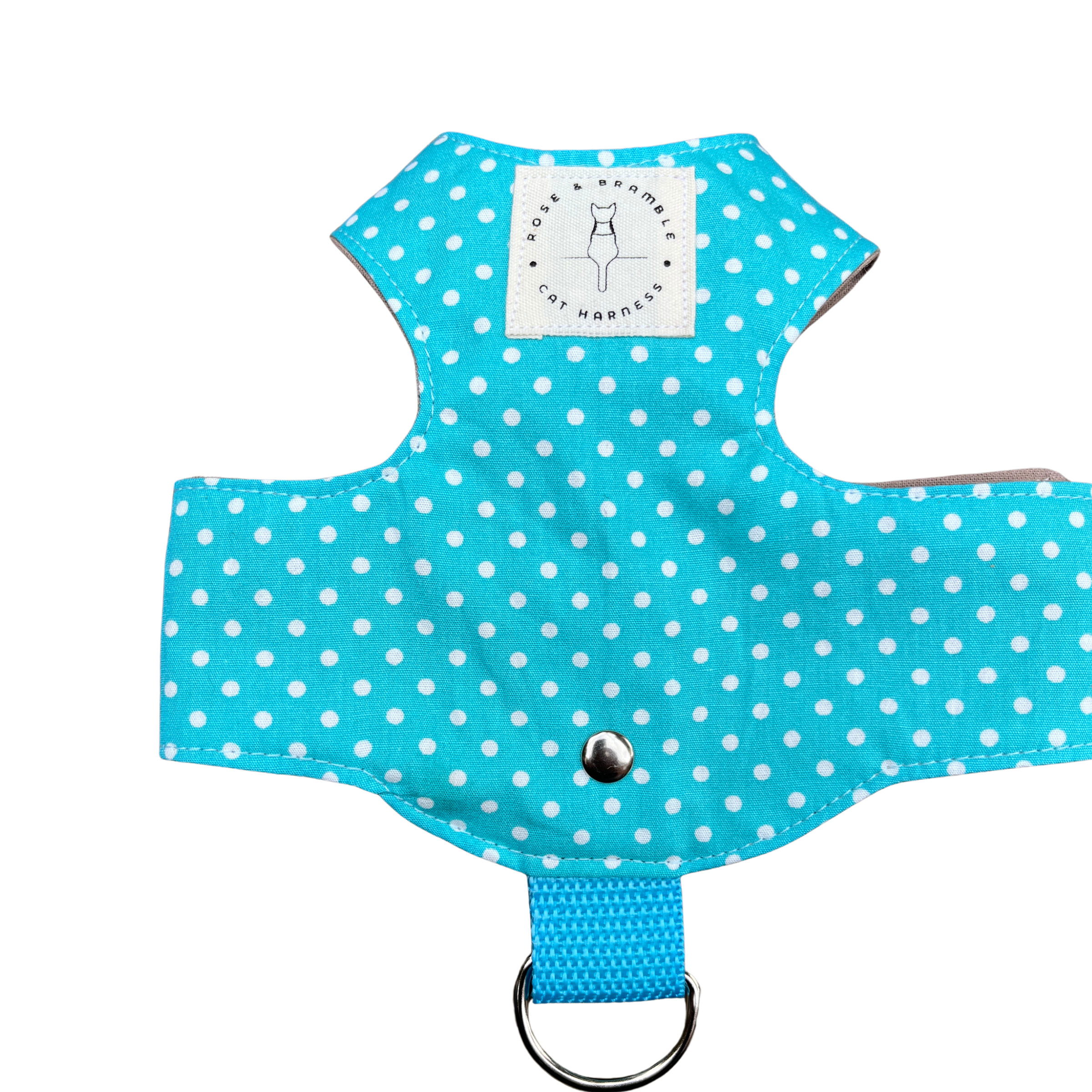 polka dot aqua-6.png