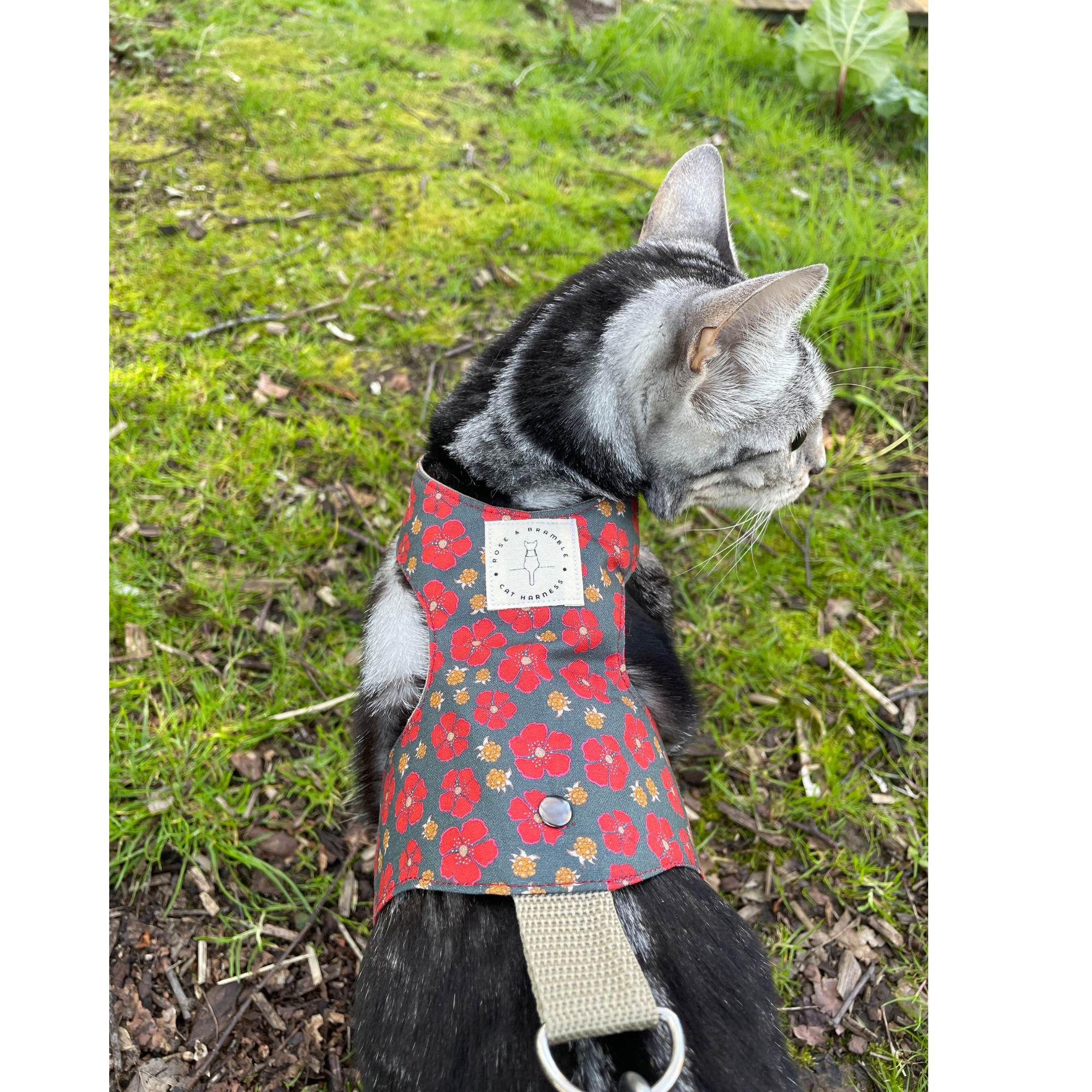 nordic berries-9.png