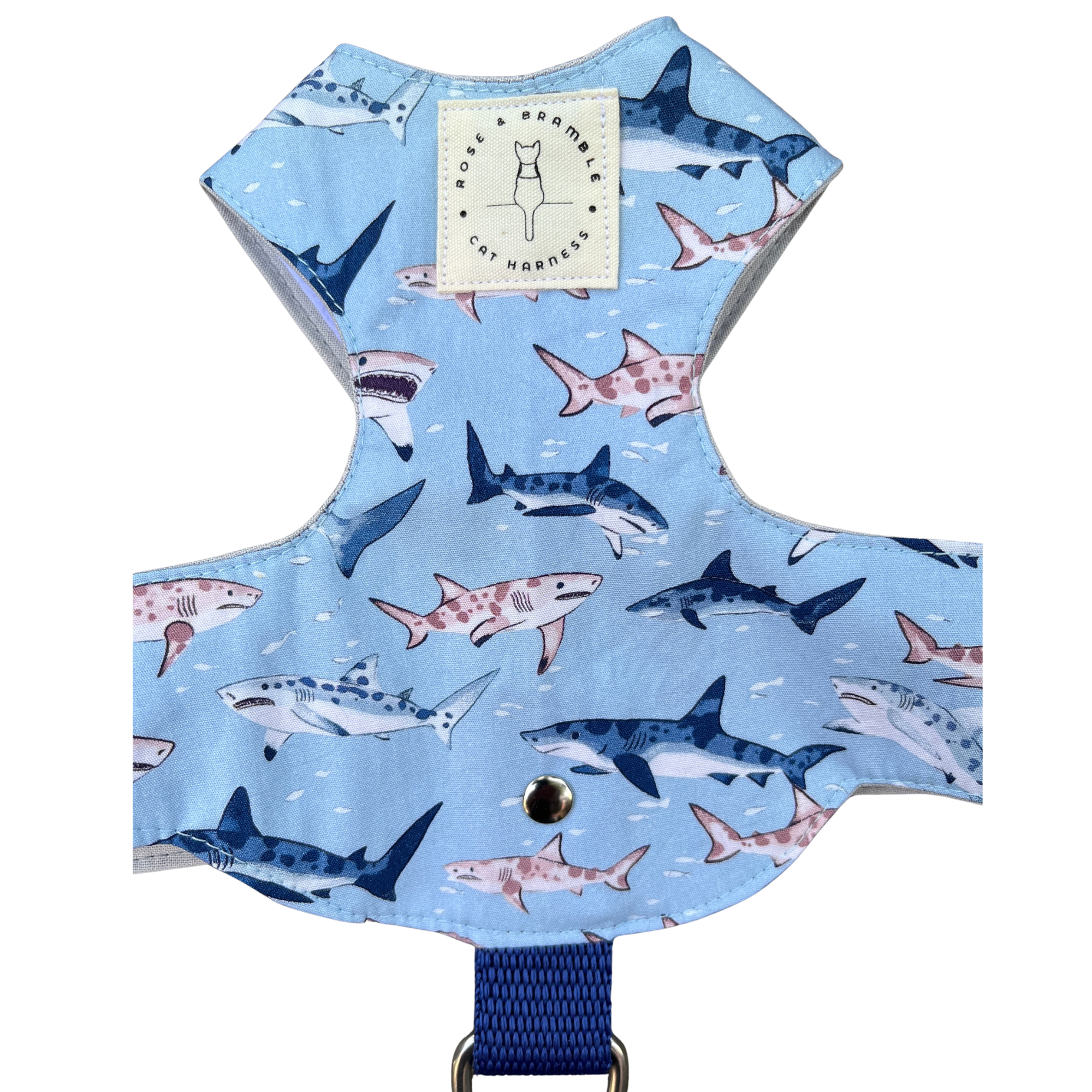 shark.png