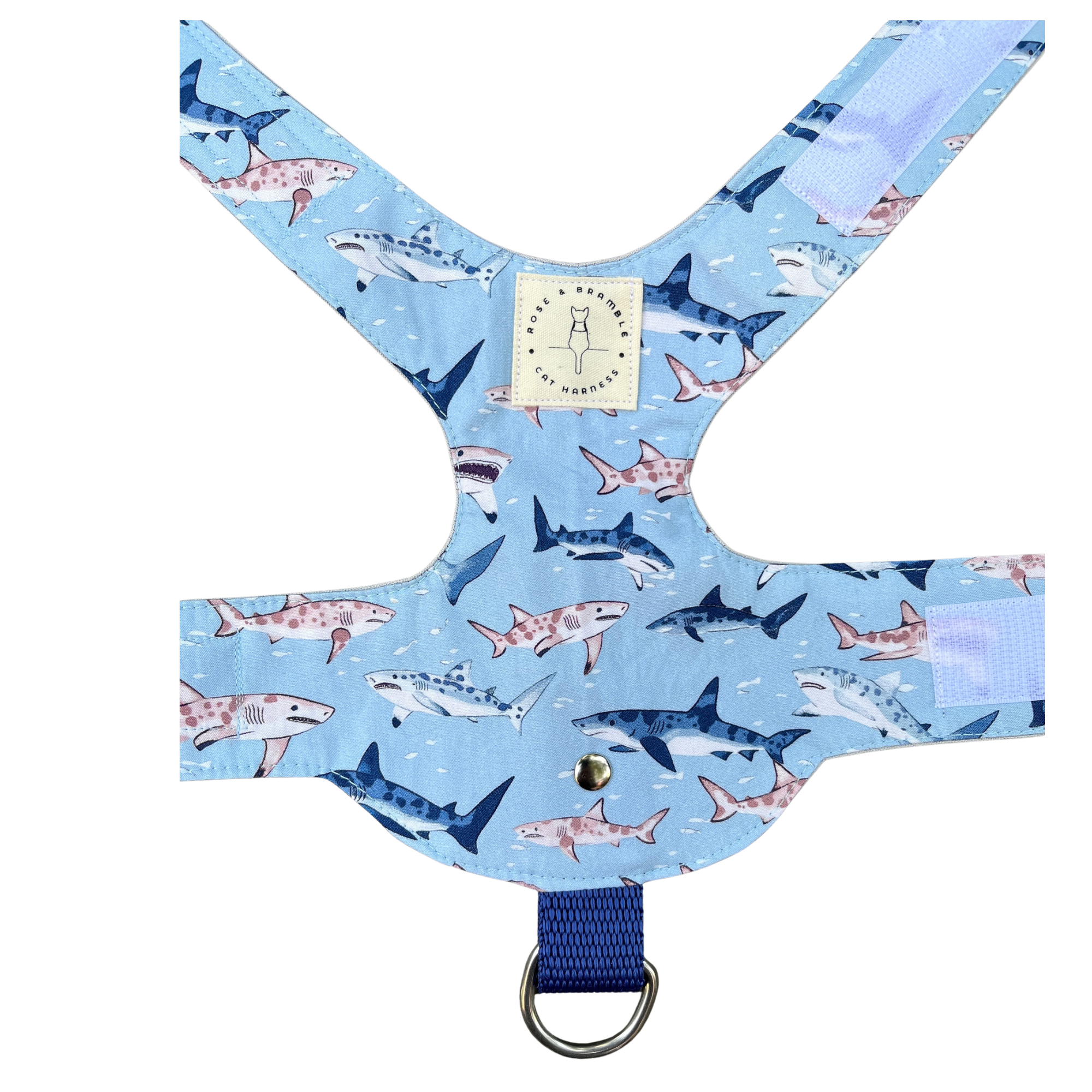 shark-4.png