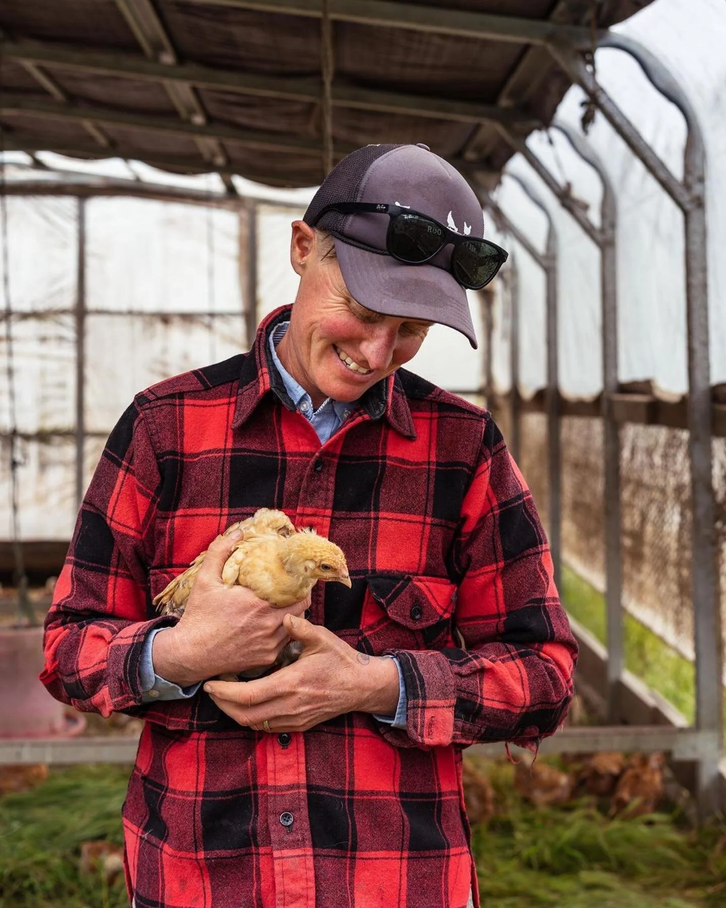 Purveyor&rsquo;s appreciation post! We are incredibly lucky to carry our kitchens from @rootdownfarm, a queer-owned ranch that works with a regenerative practice and sustainable farming in Pescadero (CA). We believe in supporting farmers that put so 