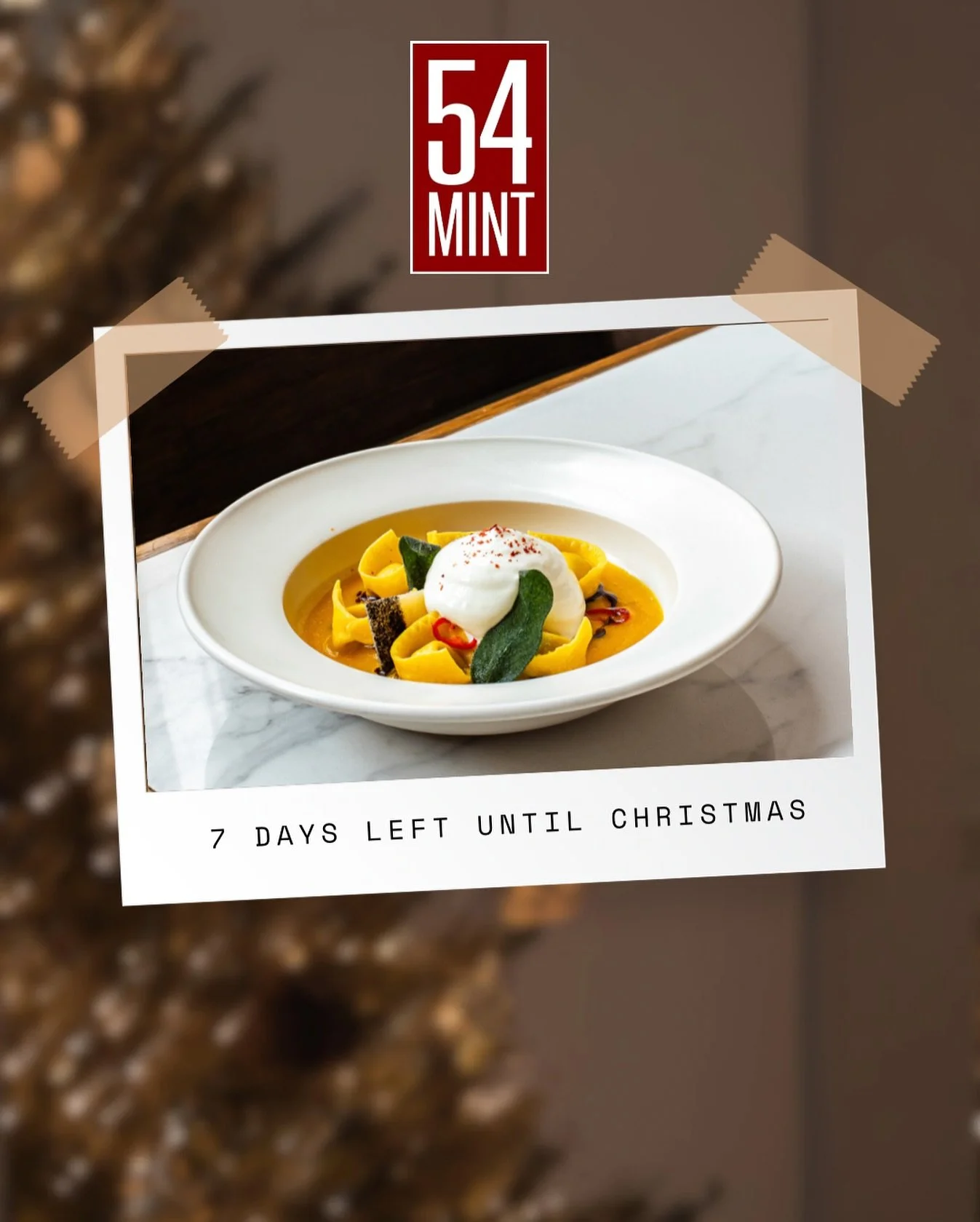 A very Italian Christmas at our table! Celebrate the vigilia with us, from our Cioppino to a delicious Panettone budino. Book your table now.